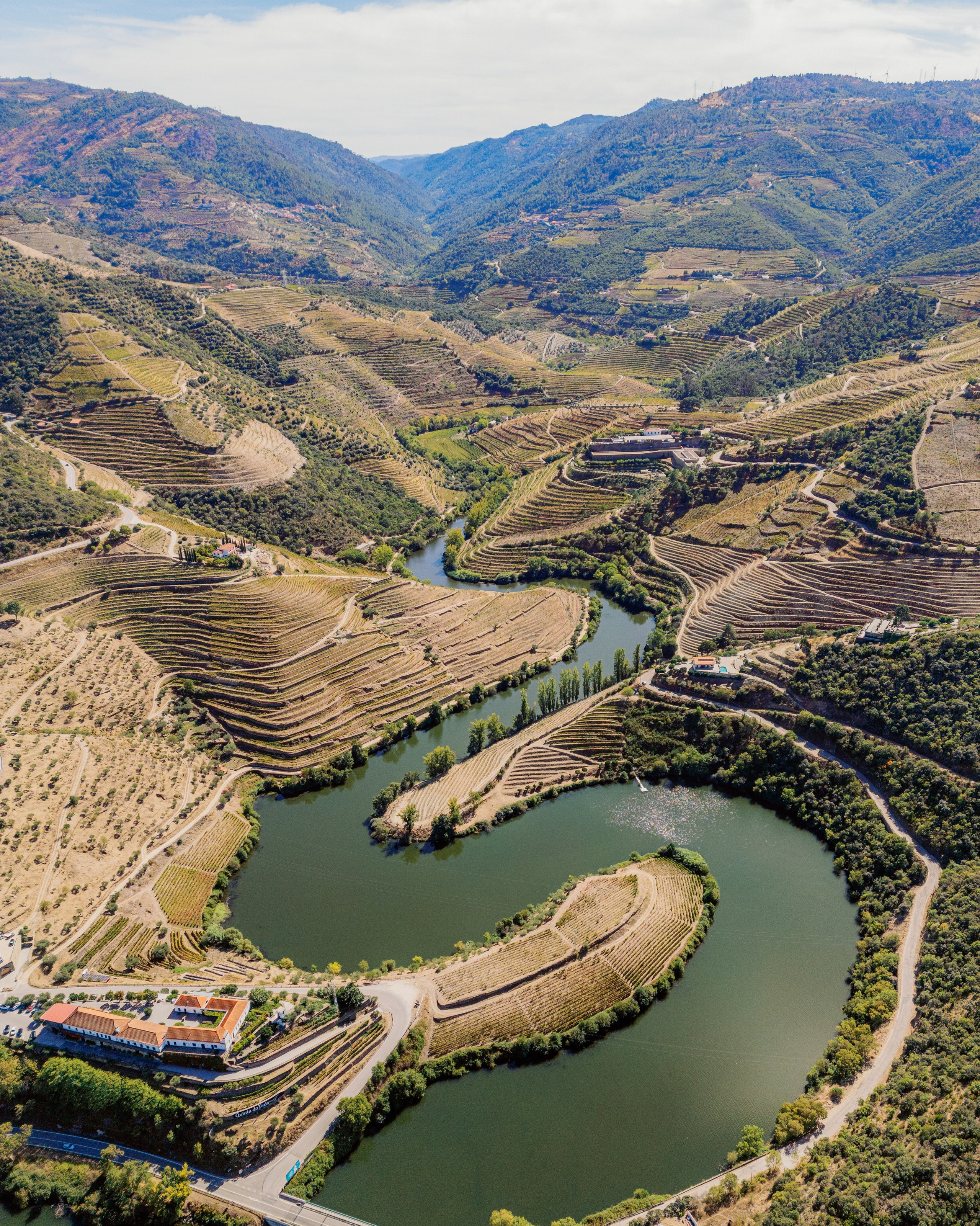 Террасные виноградники и винодельни в долине реки Дору