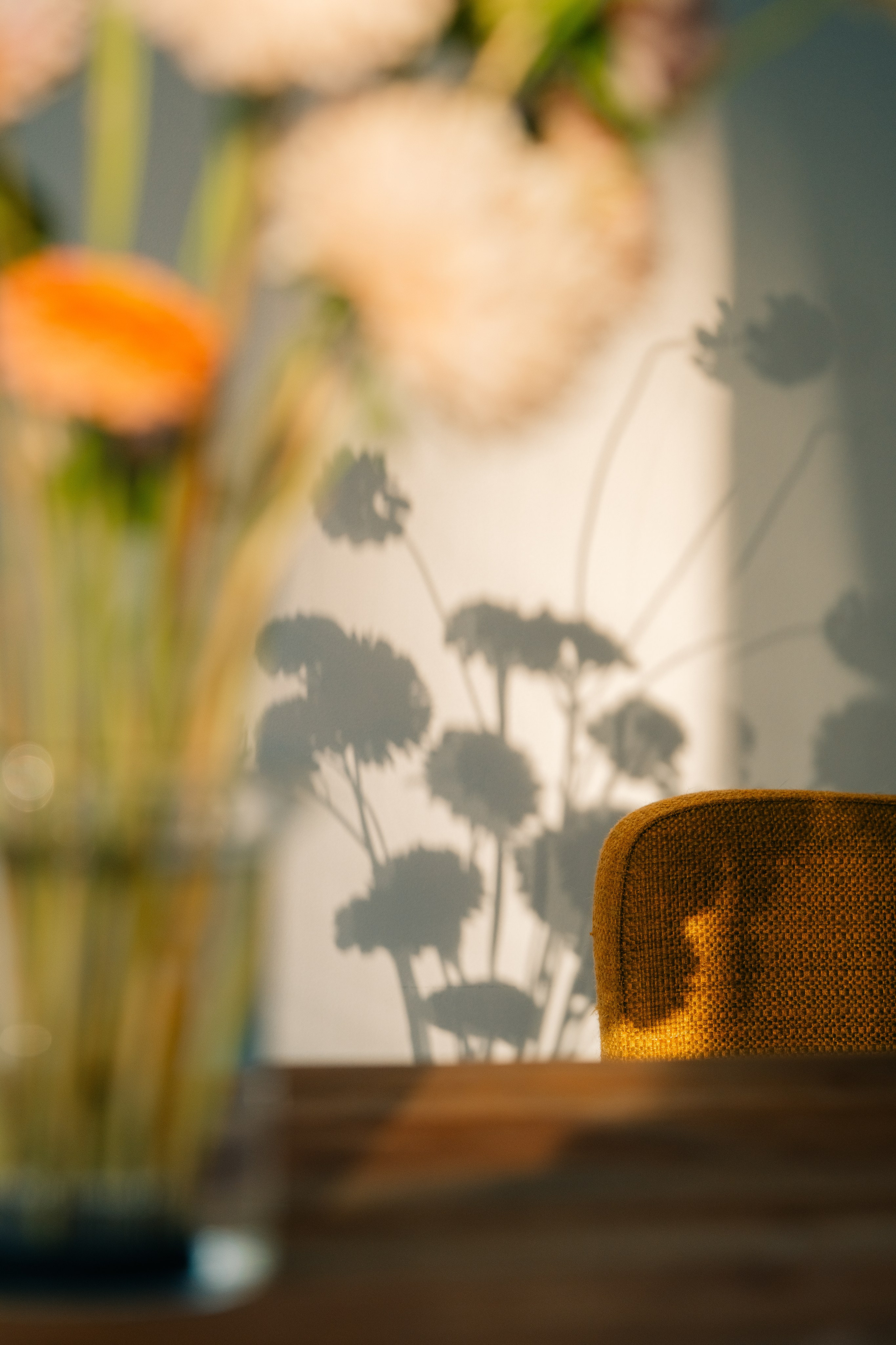 Maria Sher. Professional photographer from Porto, Portugal