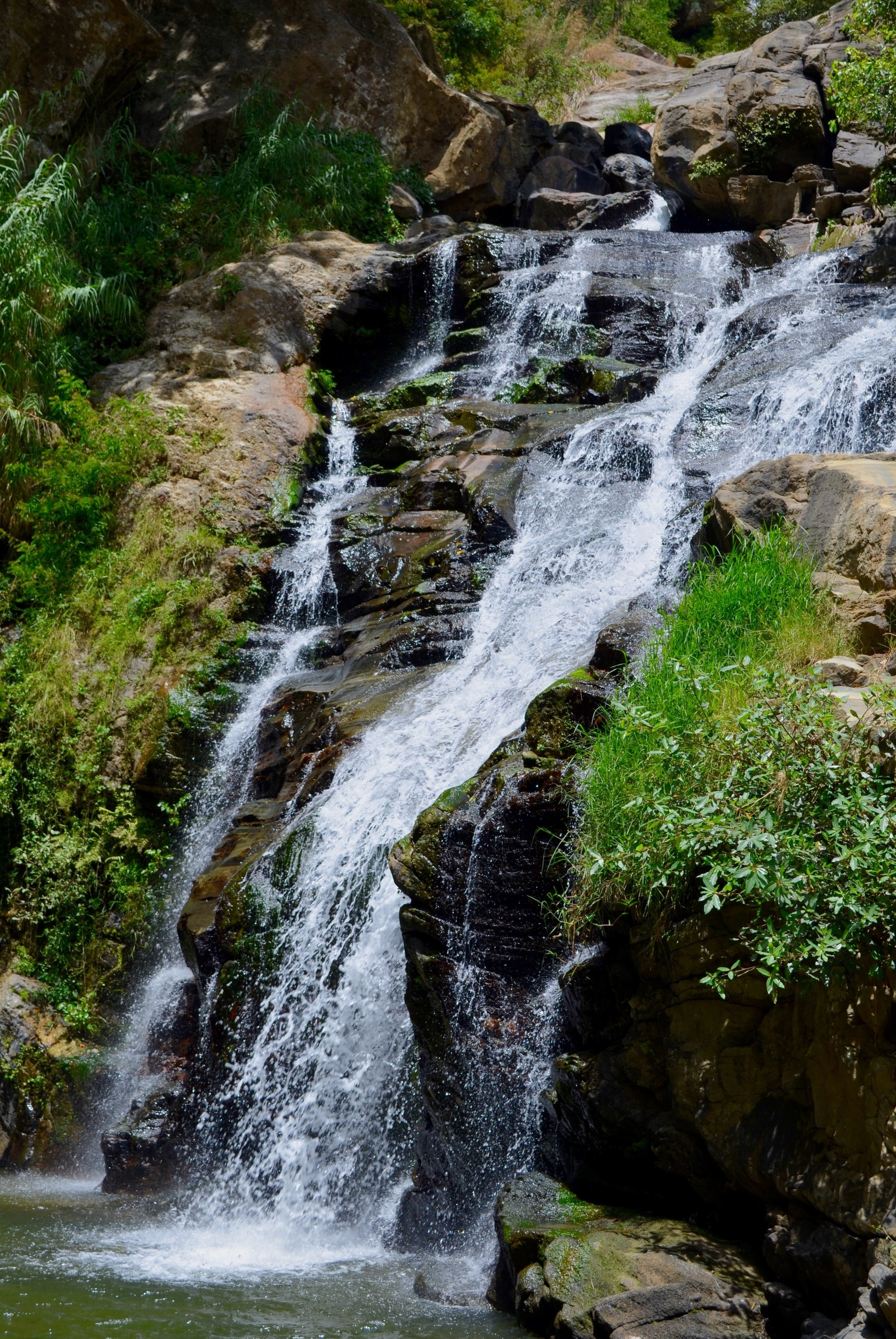 Sri Lanka — Maldives. Milok et Kirok sont des gens positifs et réels. Nous serons ravis de v