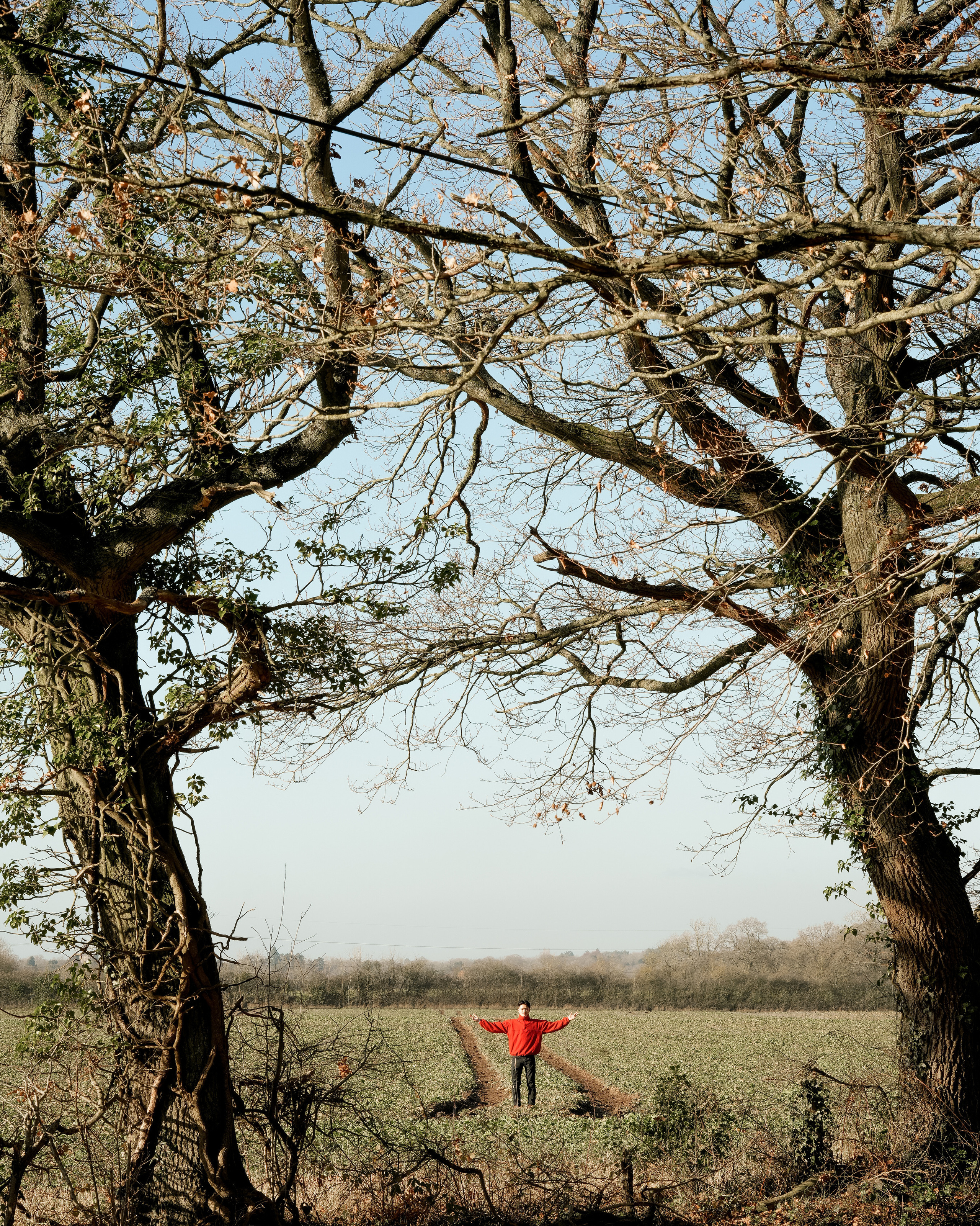 A guy in between trees on the fields in a red jumper. Individual artistic photoshoot.