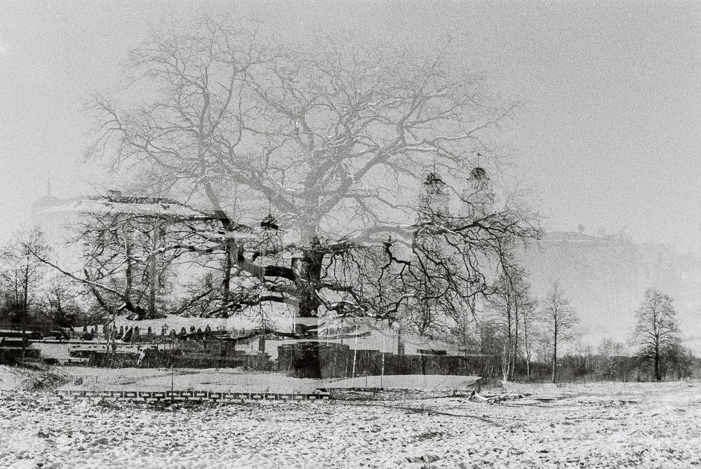 «ОСТАВЛЕННЫЙ» — город Припять после аварии на Чернобыле. Фотограф, коллекционер винтажных открыток и создатель историй на пересечении прошлого и личного. Ирина Дайнакова