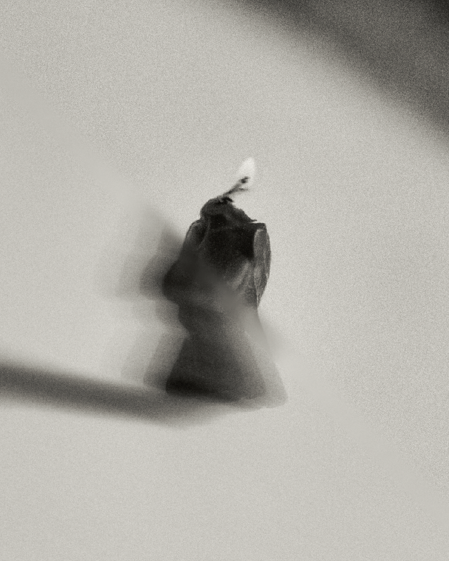 Branding. Aura Studio / co-design space