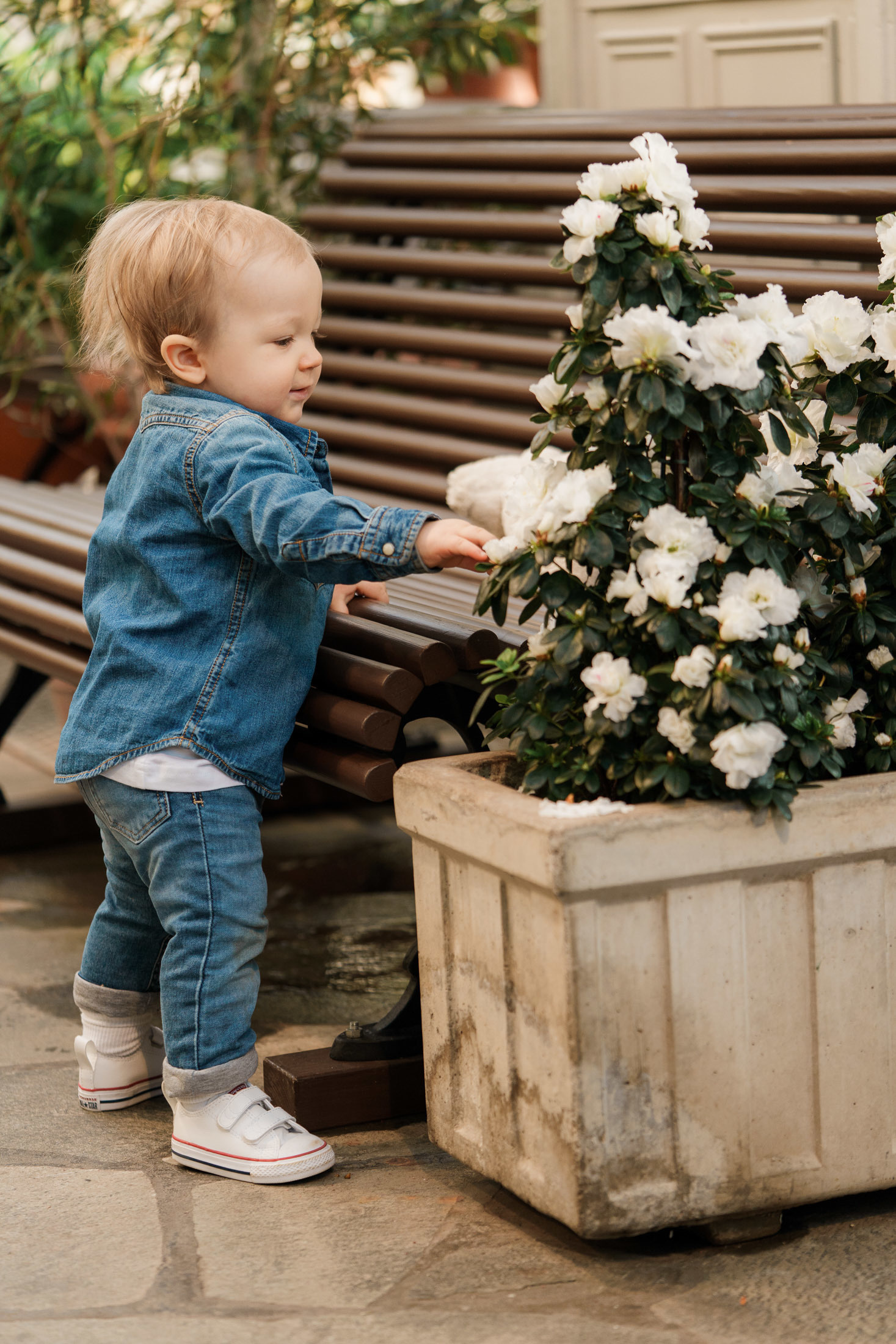 Perhe- ja lapsikuvaus Talvipuutarhassa