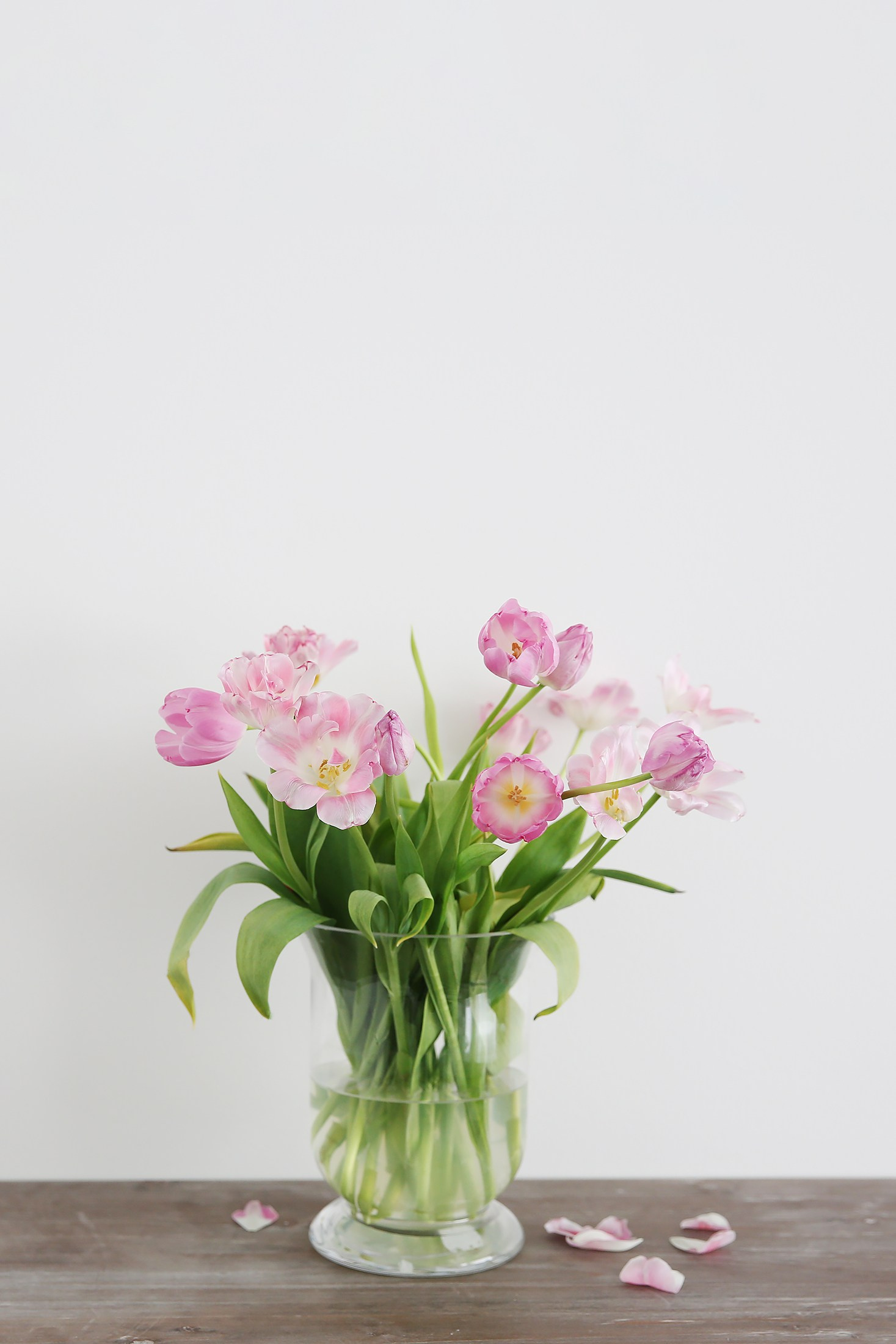 Lisätietoa kuvauksista, kuvien toimituksesta