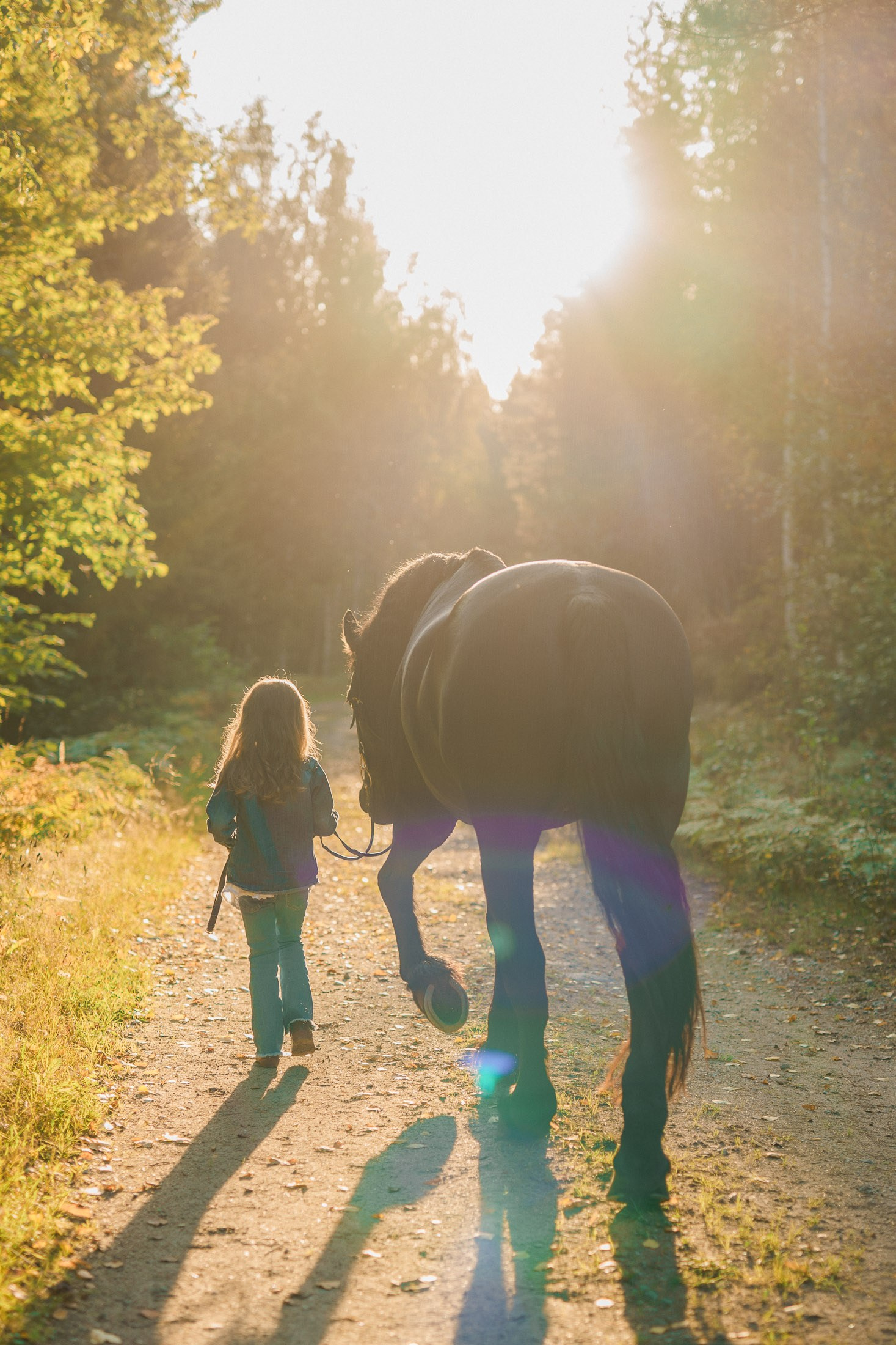 Lapsikuvaus hevosen kanssa