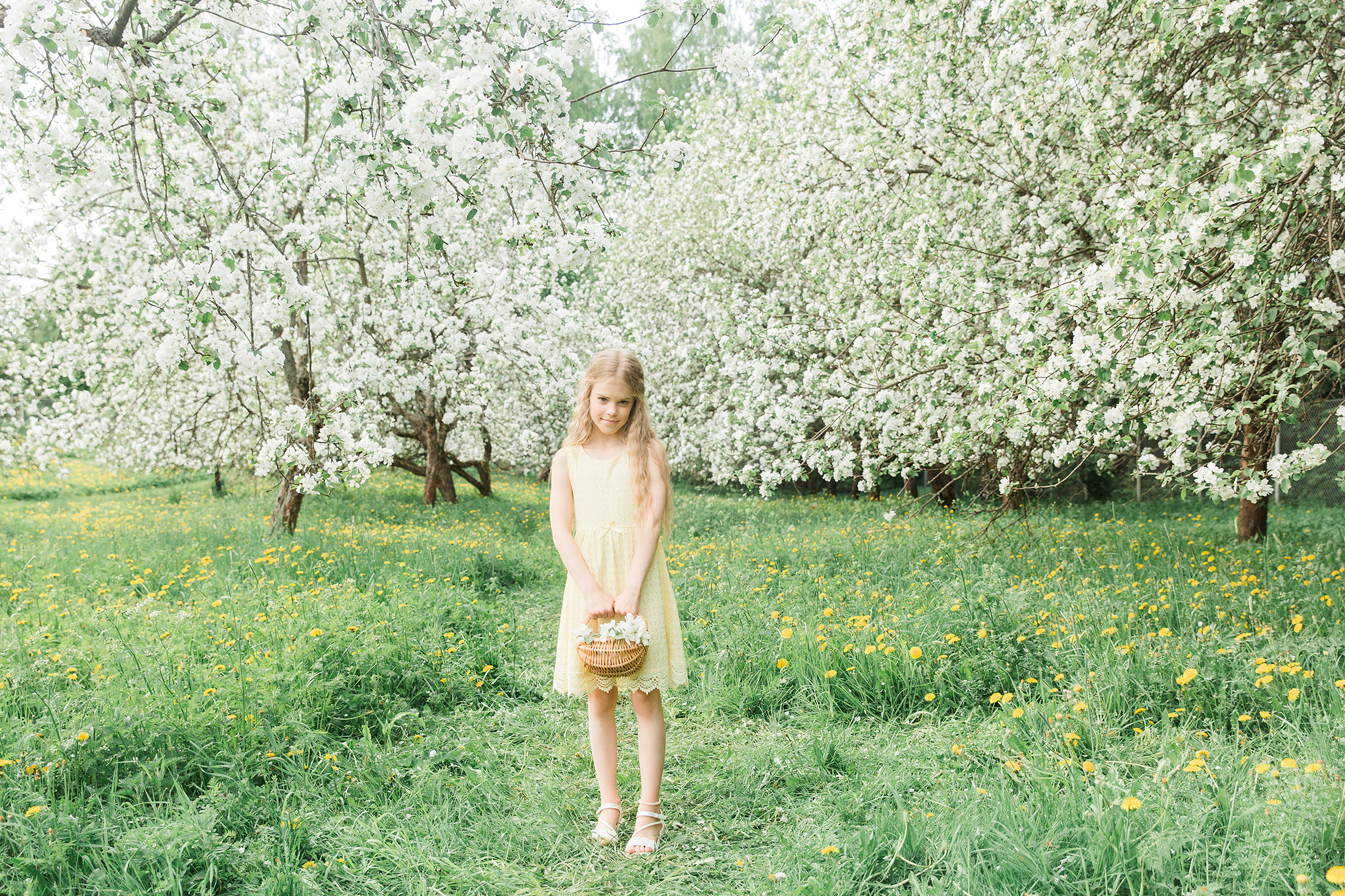 Perhekuvaus Helsingin omenatarhassa