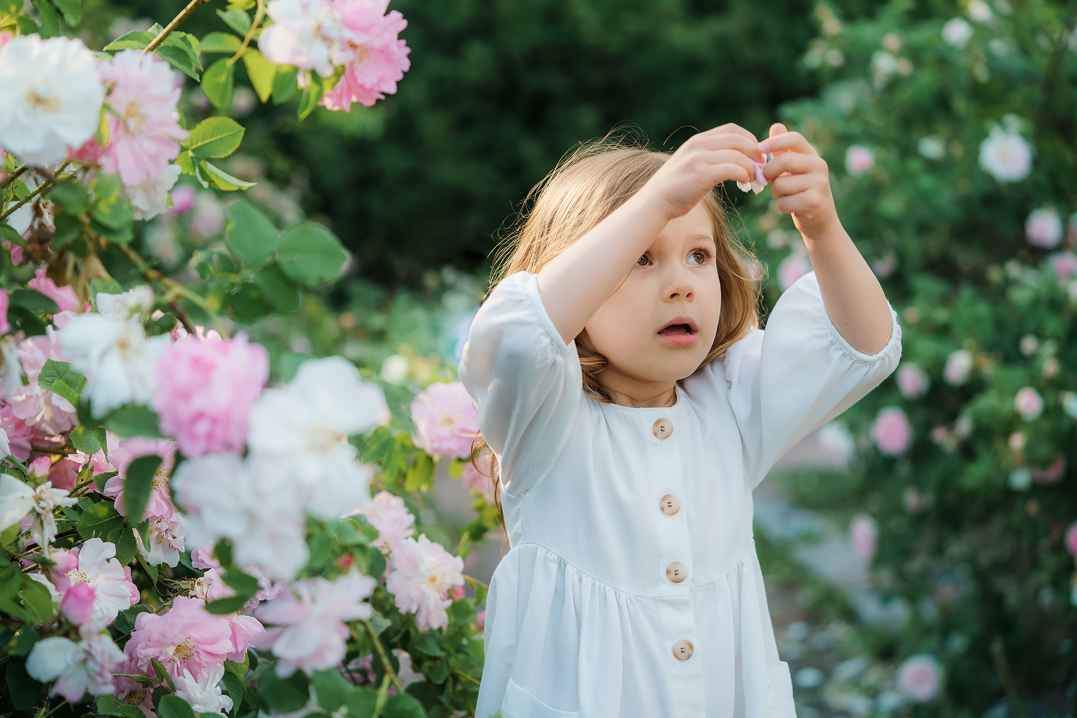 Äiti-lapsikuvaus Helsingin ruusutarhassa