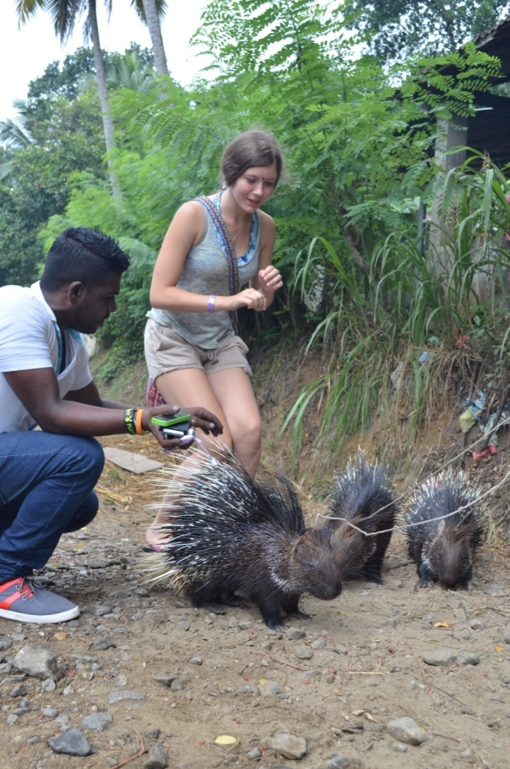 Sri Lanka — Maldives. Milok et Kirok sont des gens positifs et réels. Nous serons ravis de v