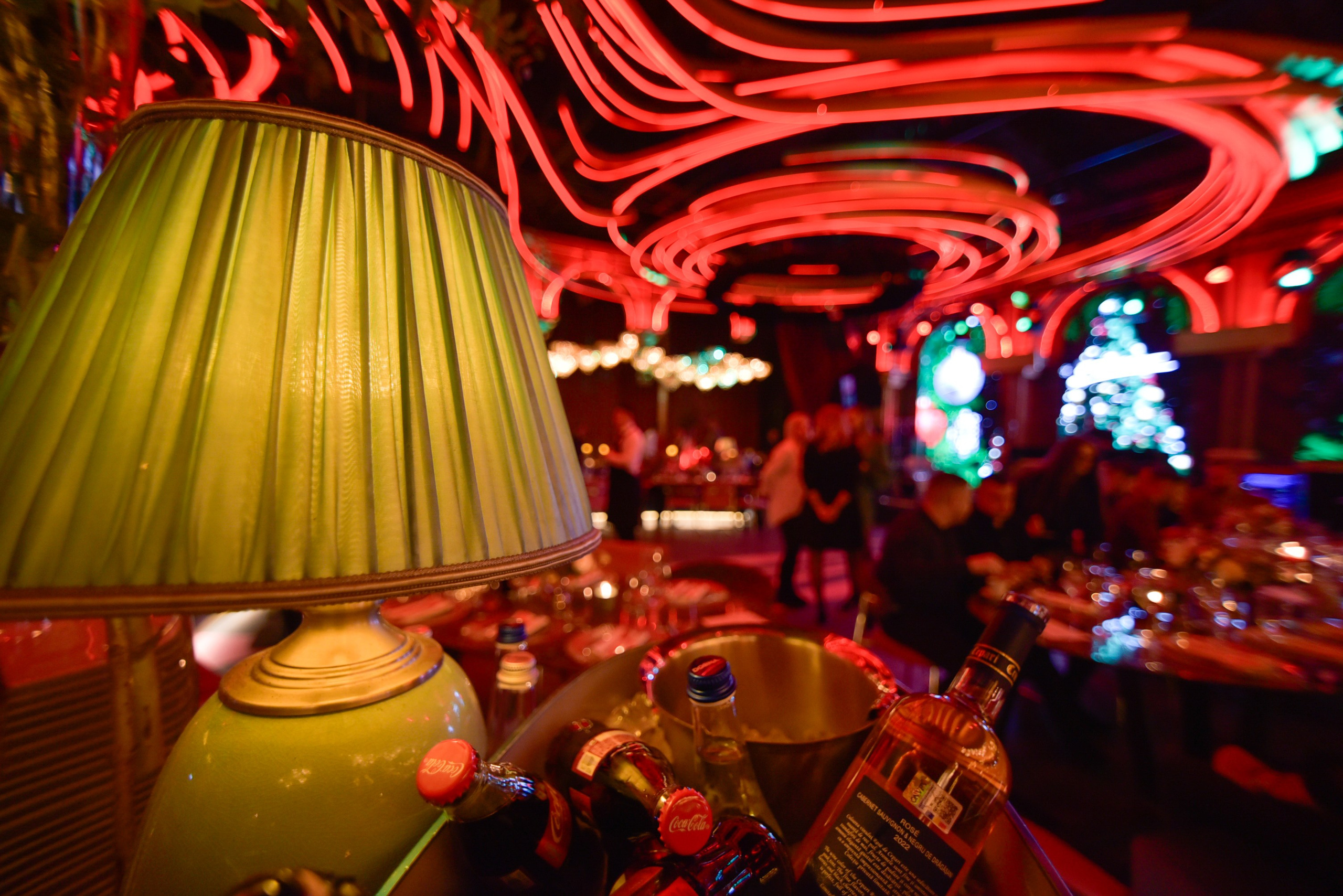 Photographic services. Wedding photographer from Bucharest Eugen Elisei