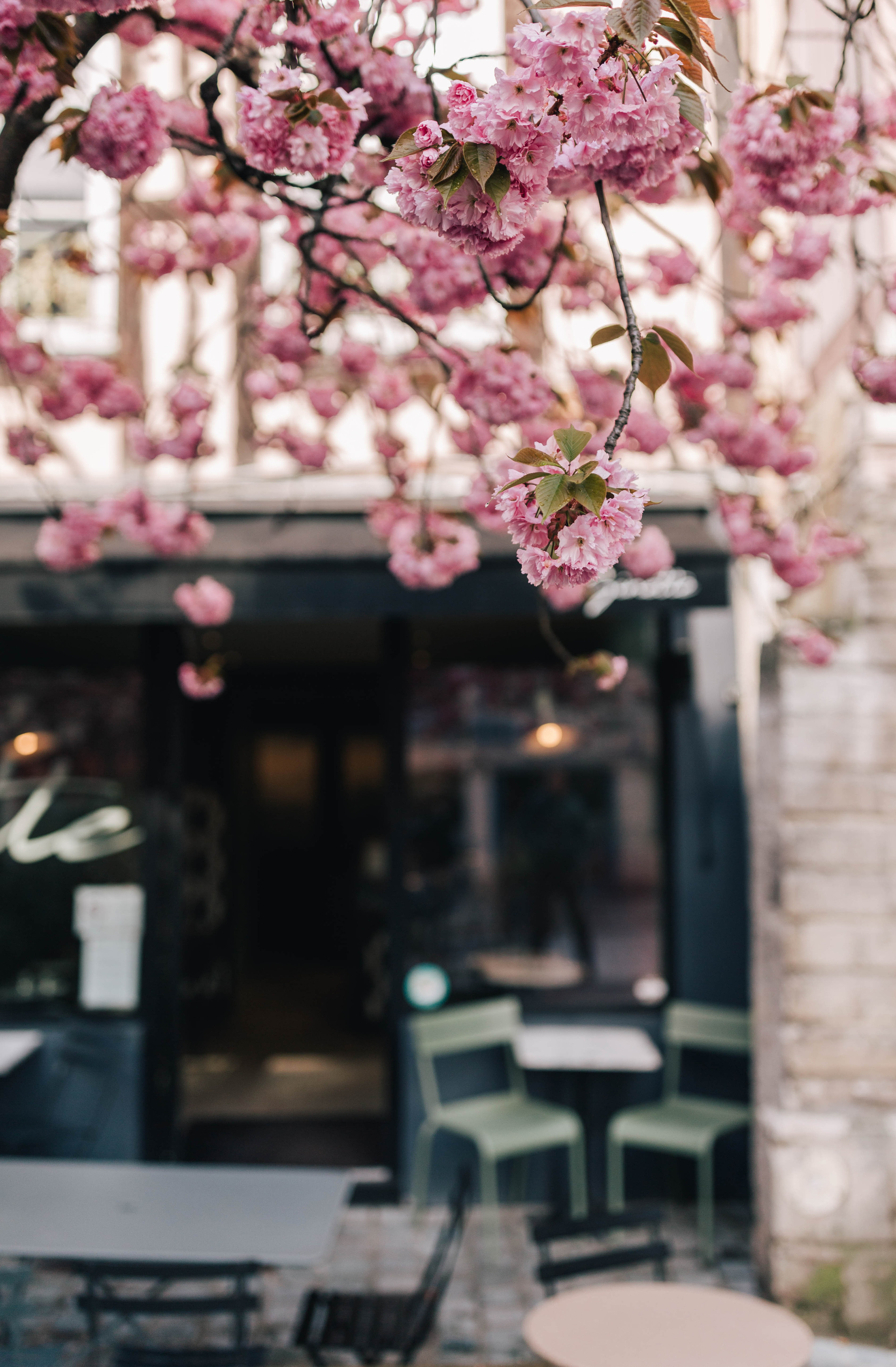 Photographe à Rouen, France