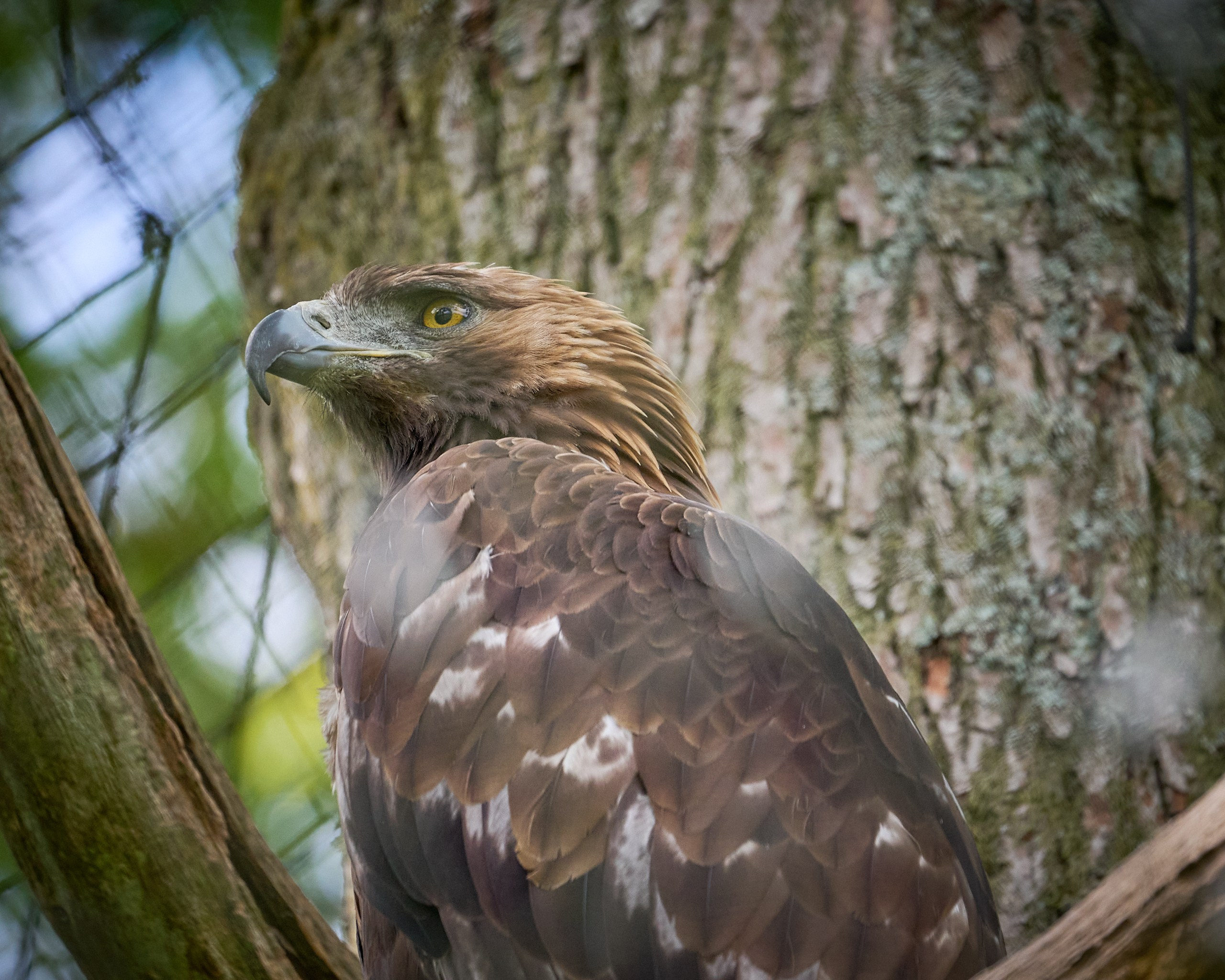 Visit Skånes Djurpark. Yuri Popkov | Photographer