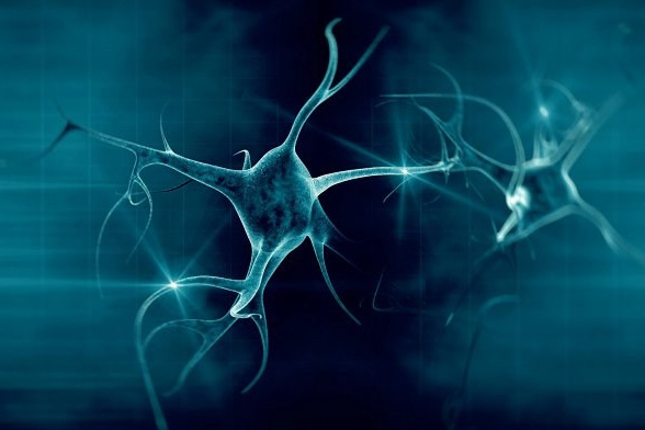 O metodi. Numerologija. Nevrografika. Delavnice