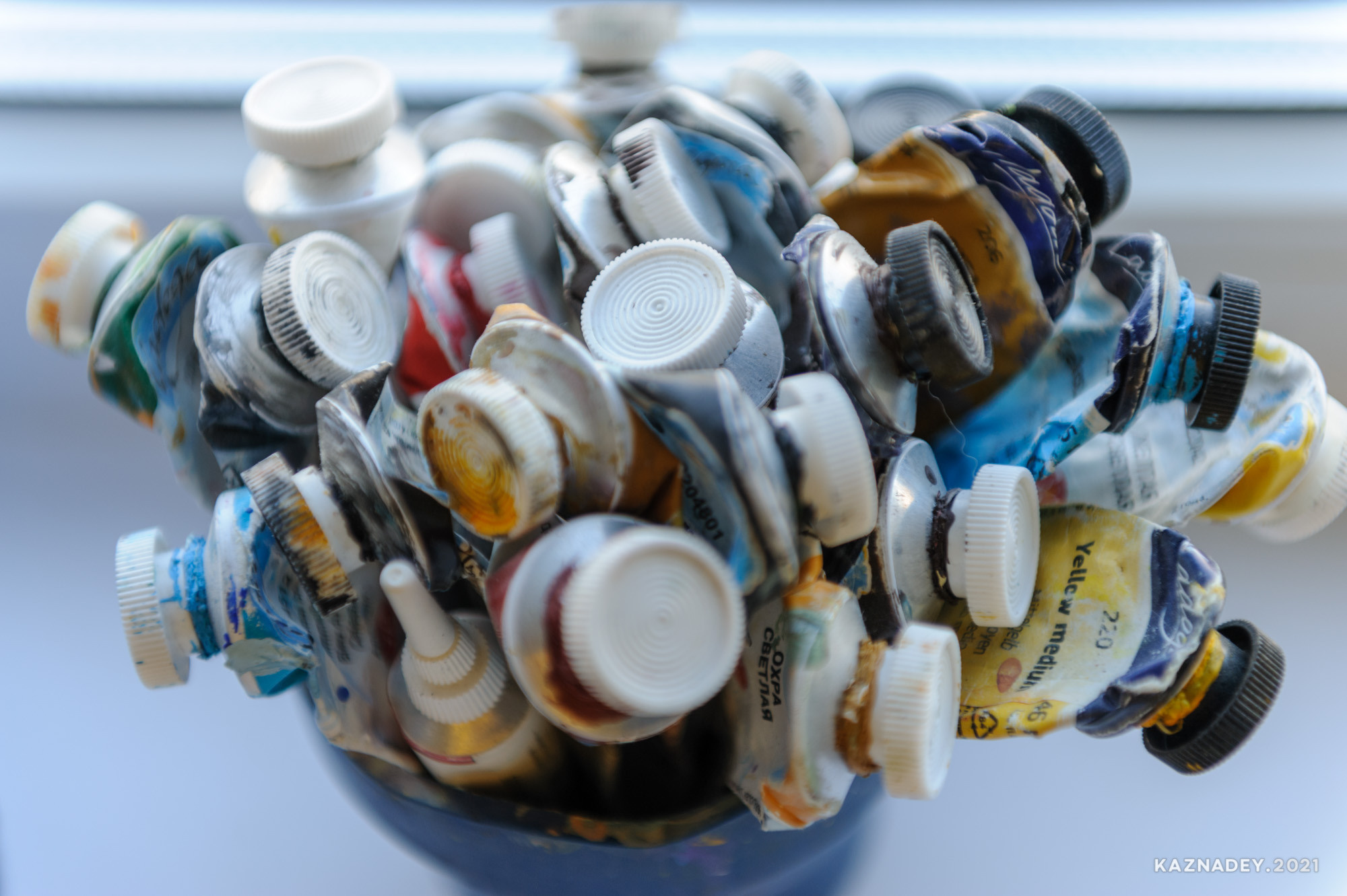 Sesja zdjęciowa autorstwa artystki Kate Shi