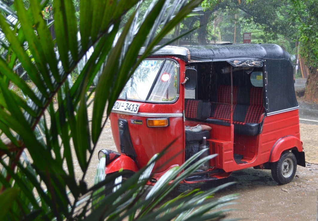 Sri Lanka — Maldives. Milok et Kirok sont des gens positifs et réels. Nous serons ravis de v