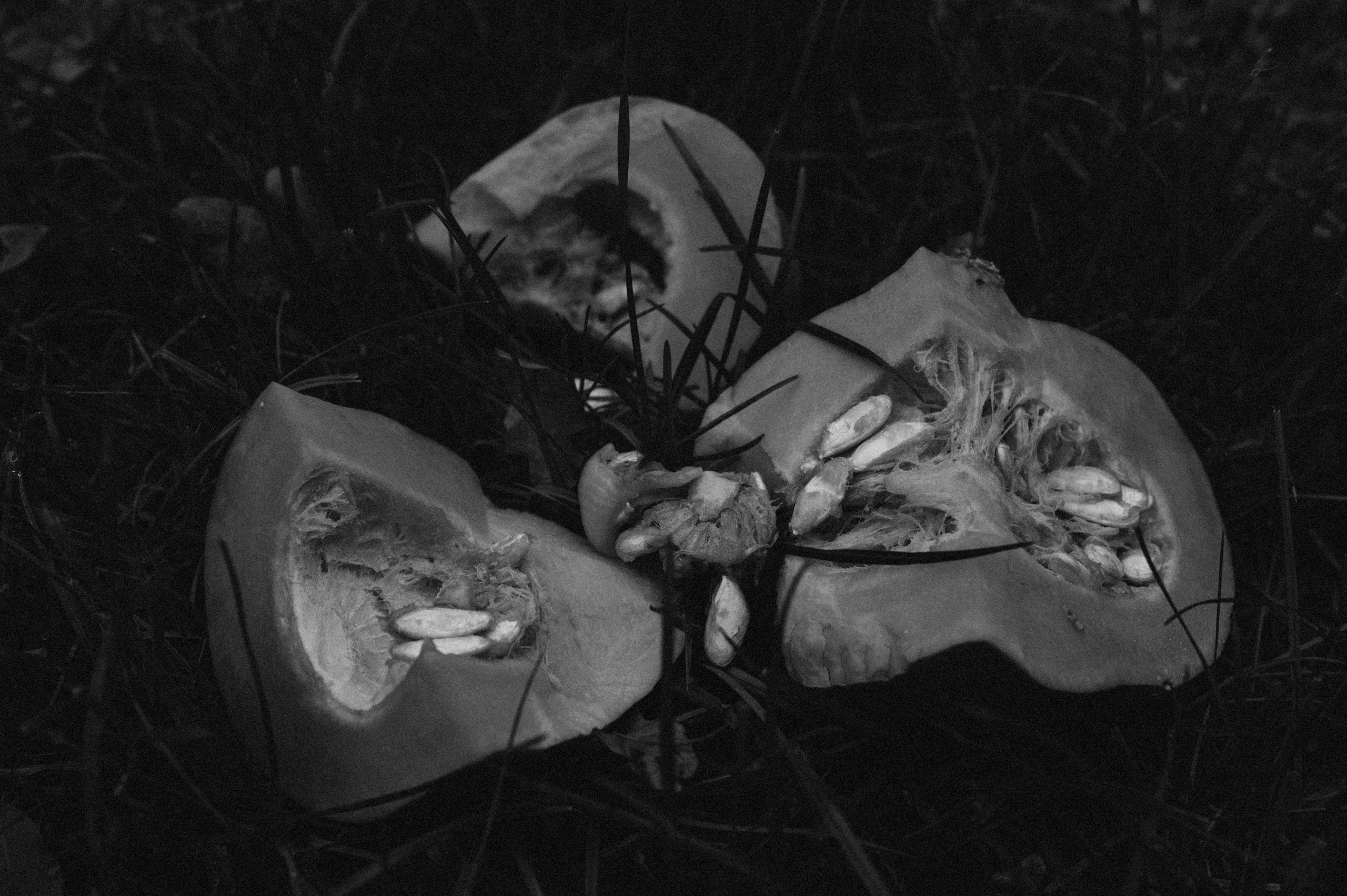 Lustige Halloween-Shootings: Spaß für die ganze Familie!. Photographer in Nuremberg Irina Mehnert from Ansbach