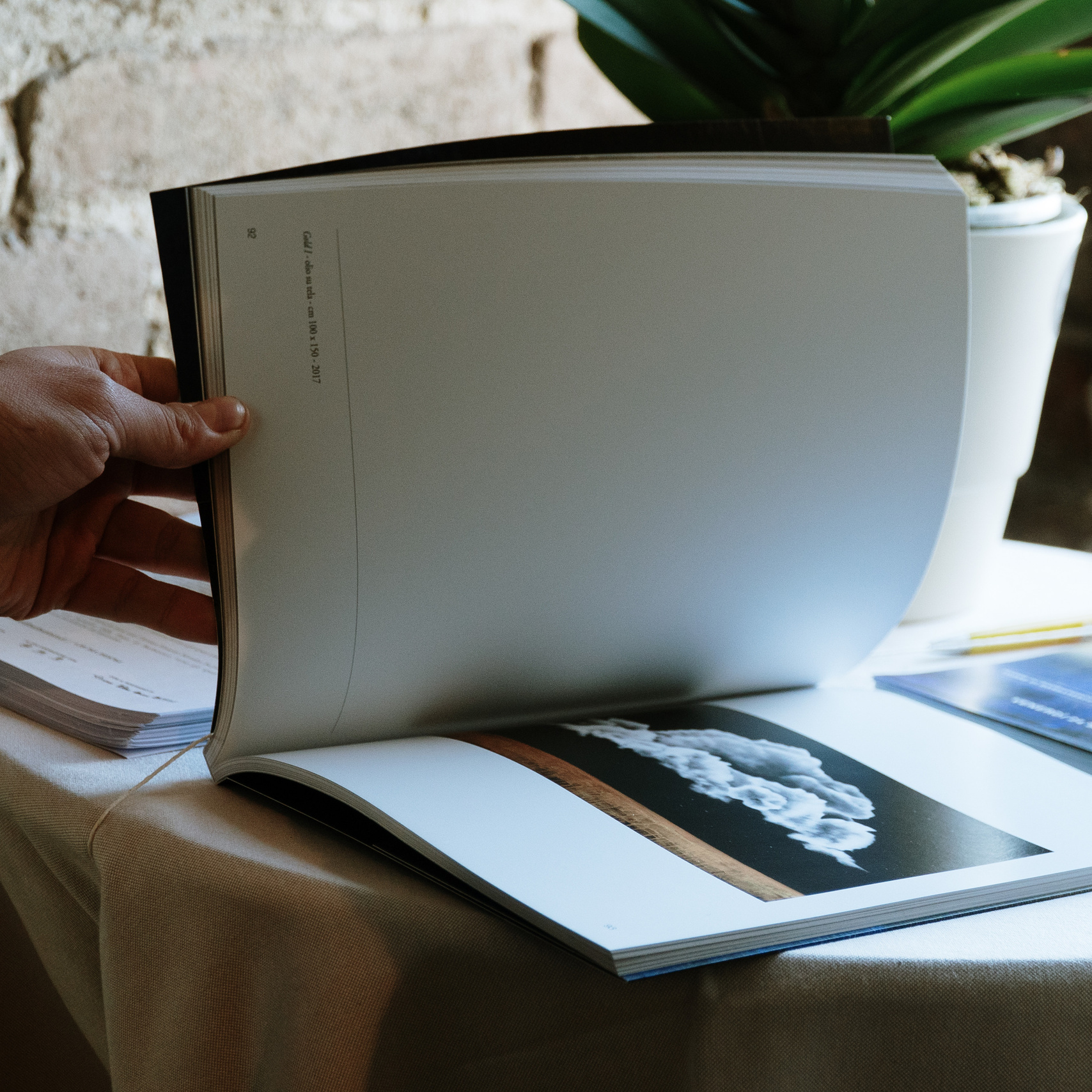 TIERRA — Exhibit visual identity. Aura Studio / co-design space