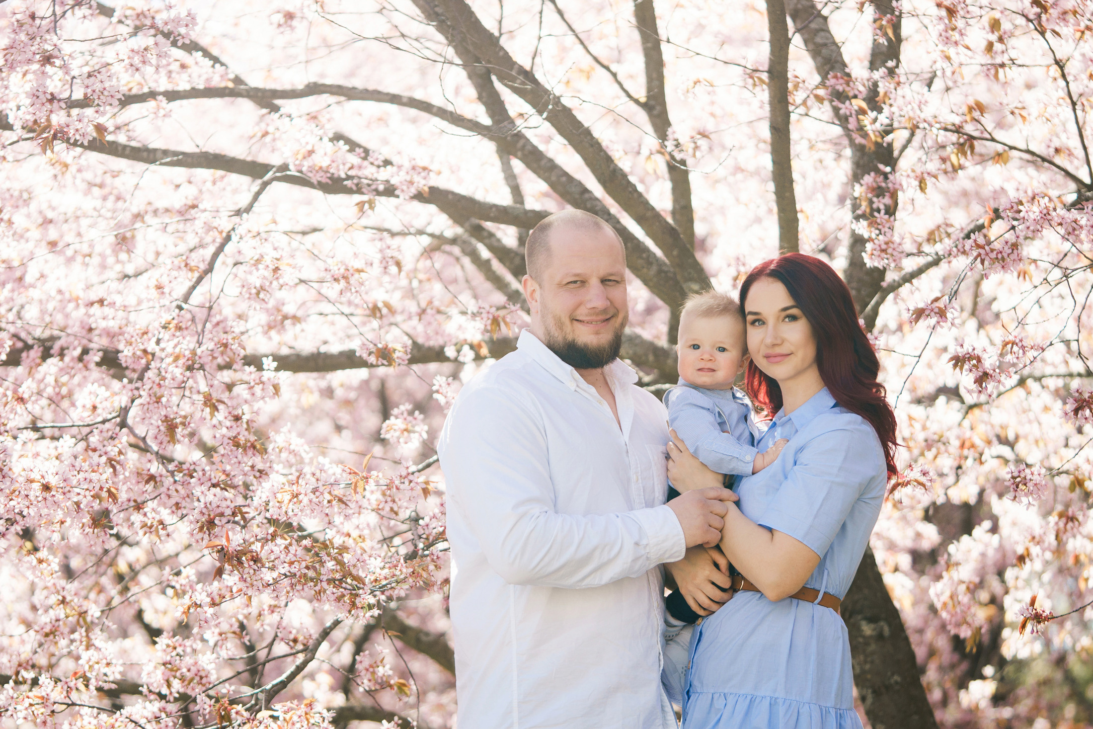 Minikuvaukset kirsikkapuistossa