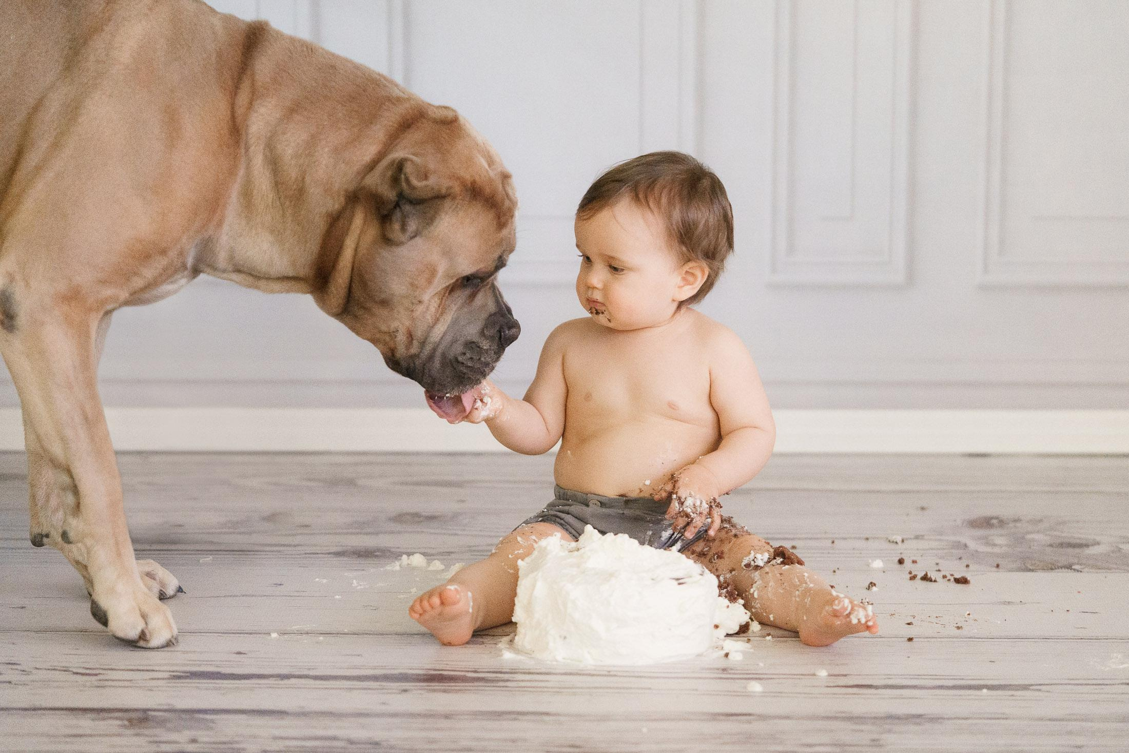 Yksivuotias ja koira