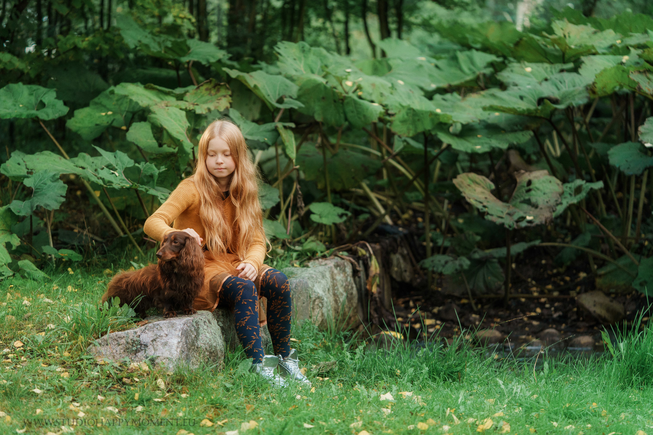 Syksyiset lapsikuvat Helsingissä. Koira mukana kuvauksissa