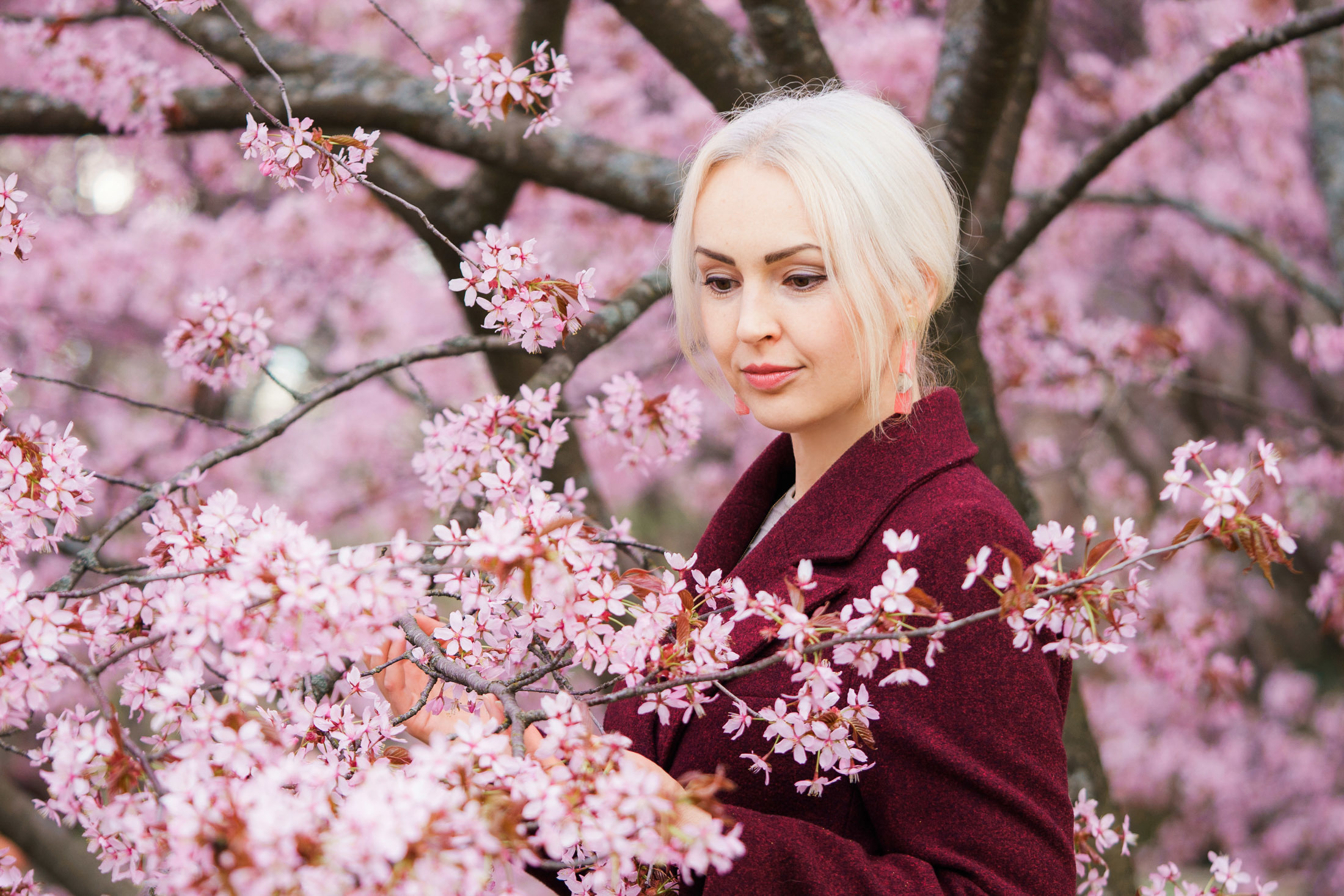 Muotokuvaus Roihuvuoren kirsikkapuisto