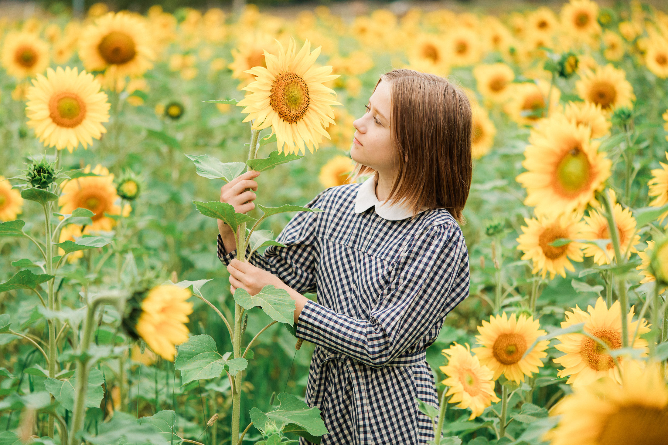 Lapsikuvaus auringonkukkapellolla