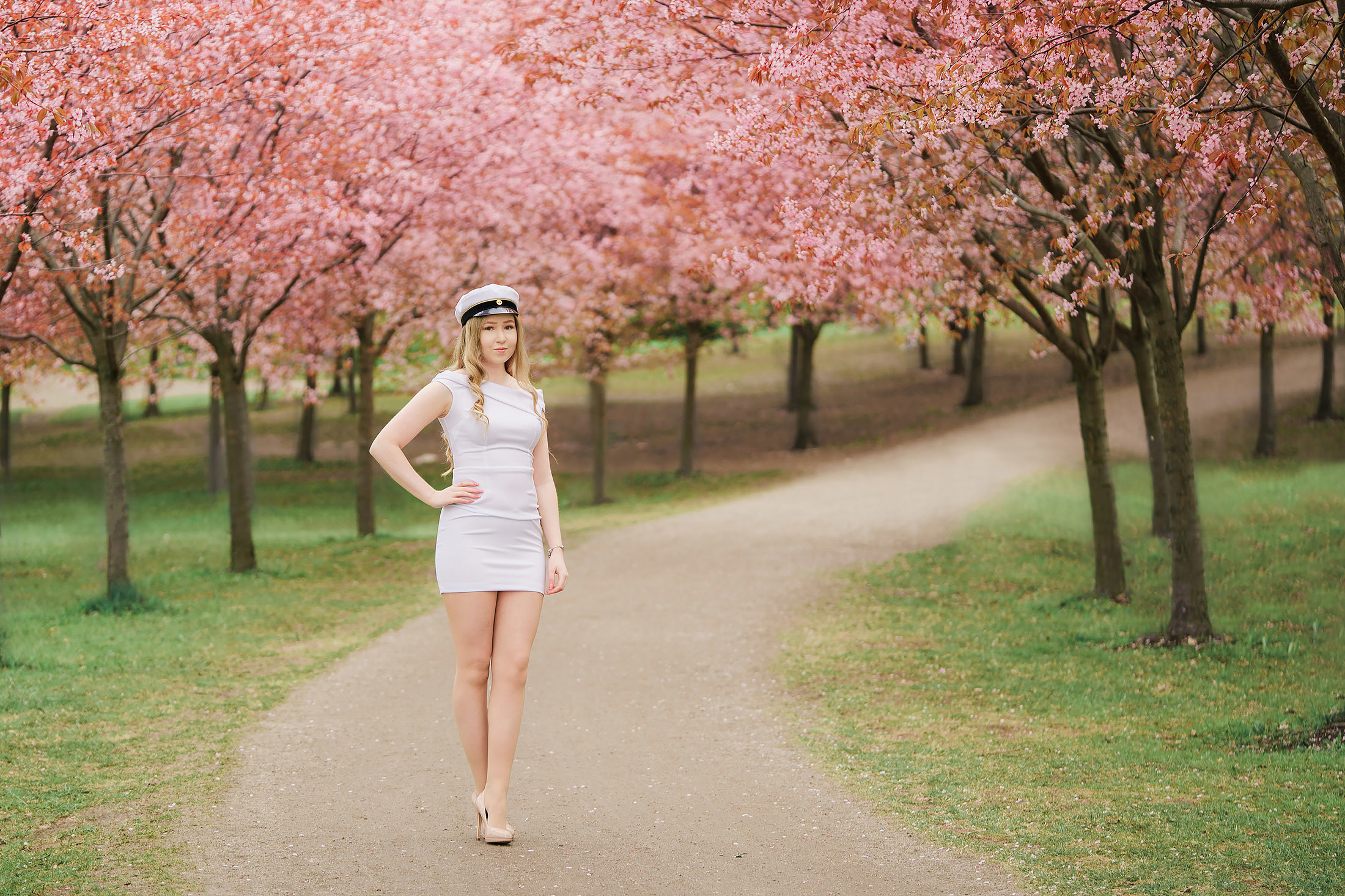 Roihuvuoren kirsikkapuisto, yo-kuvaus