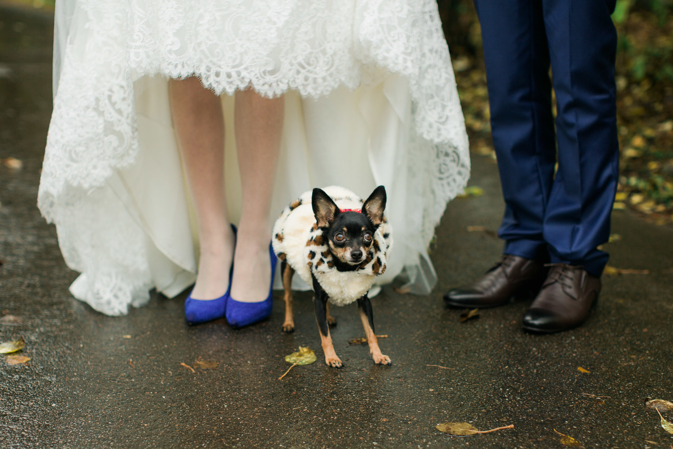 Syksyiset hääpotretit Talvipuutarha + vanhankaupunginkoski