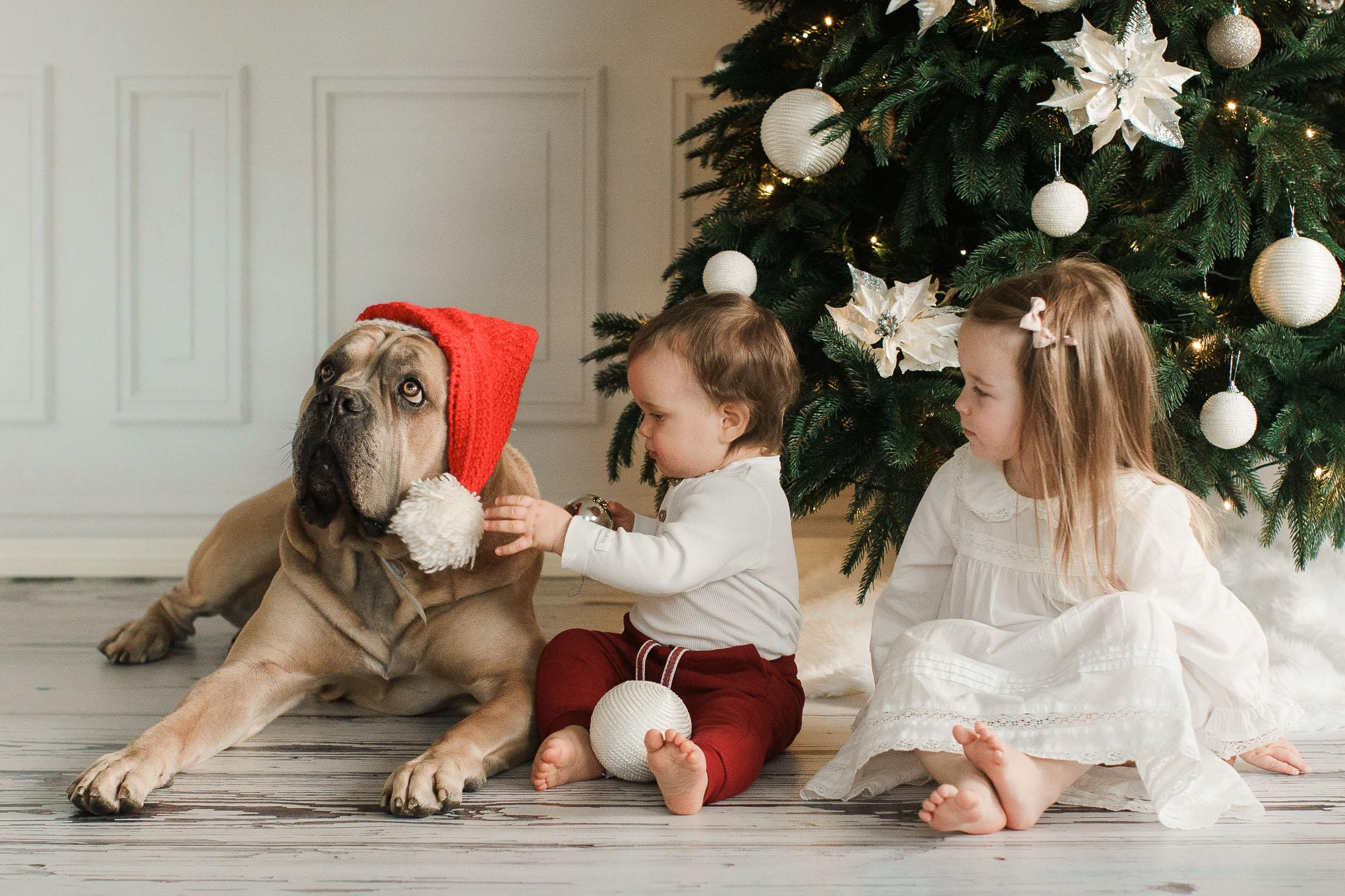 joulukorttikuvaus studiossa 2022