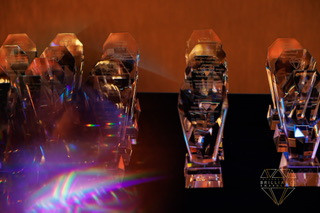 BLUE OCEAN BRILLANCE AWARD. Professional garden design and photography services in London