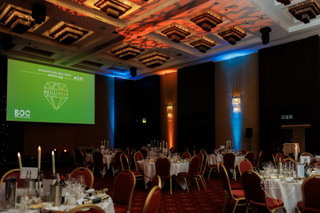 BLUE OCEAN BRILLANCE AWARD. Professional garden design and photography services in London