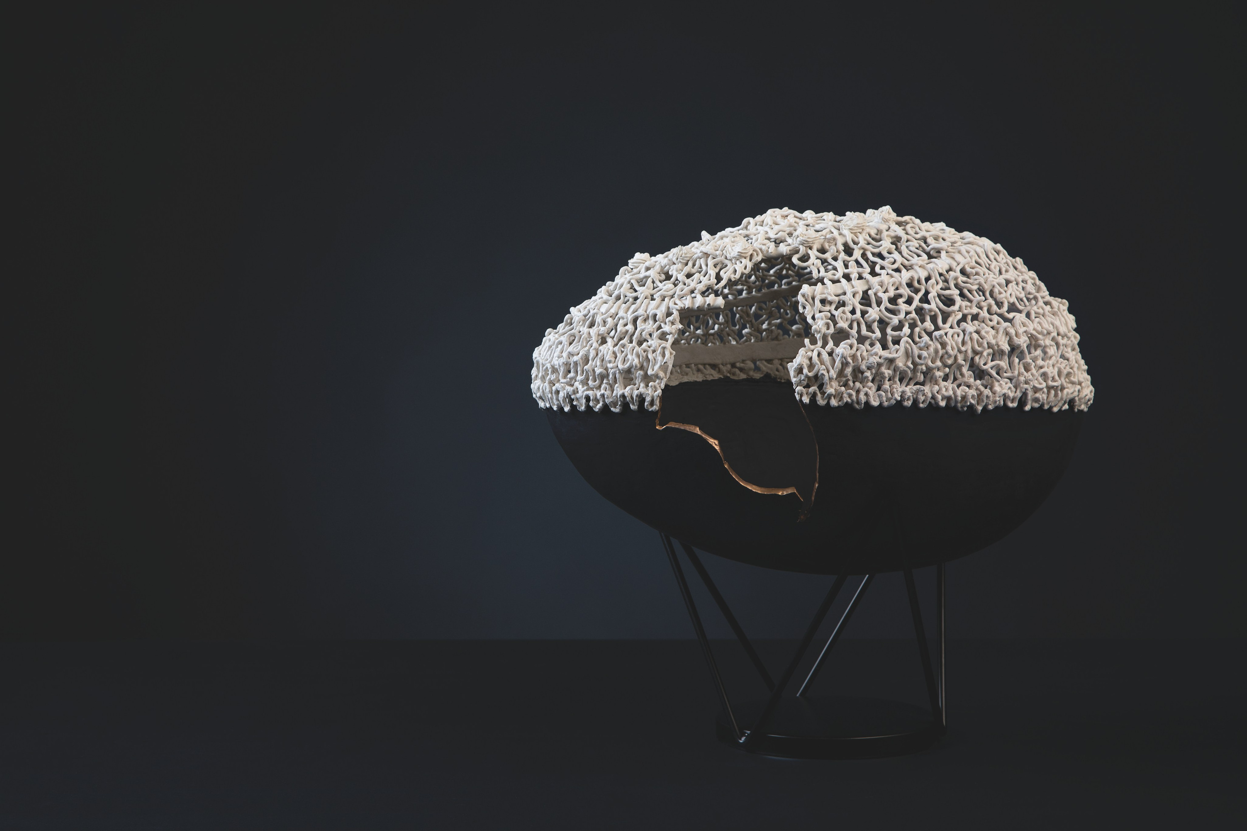 Tematska fotografija: keramika, floristika. Photographer Mariia Bortiakova