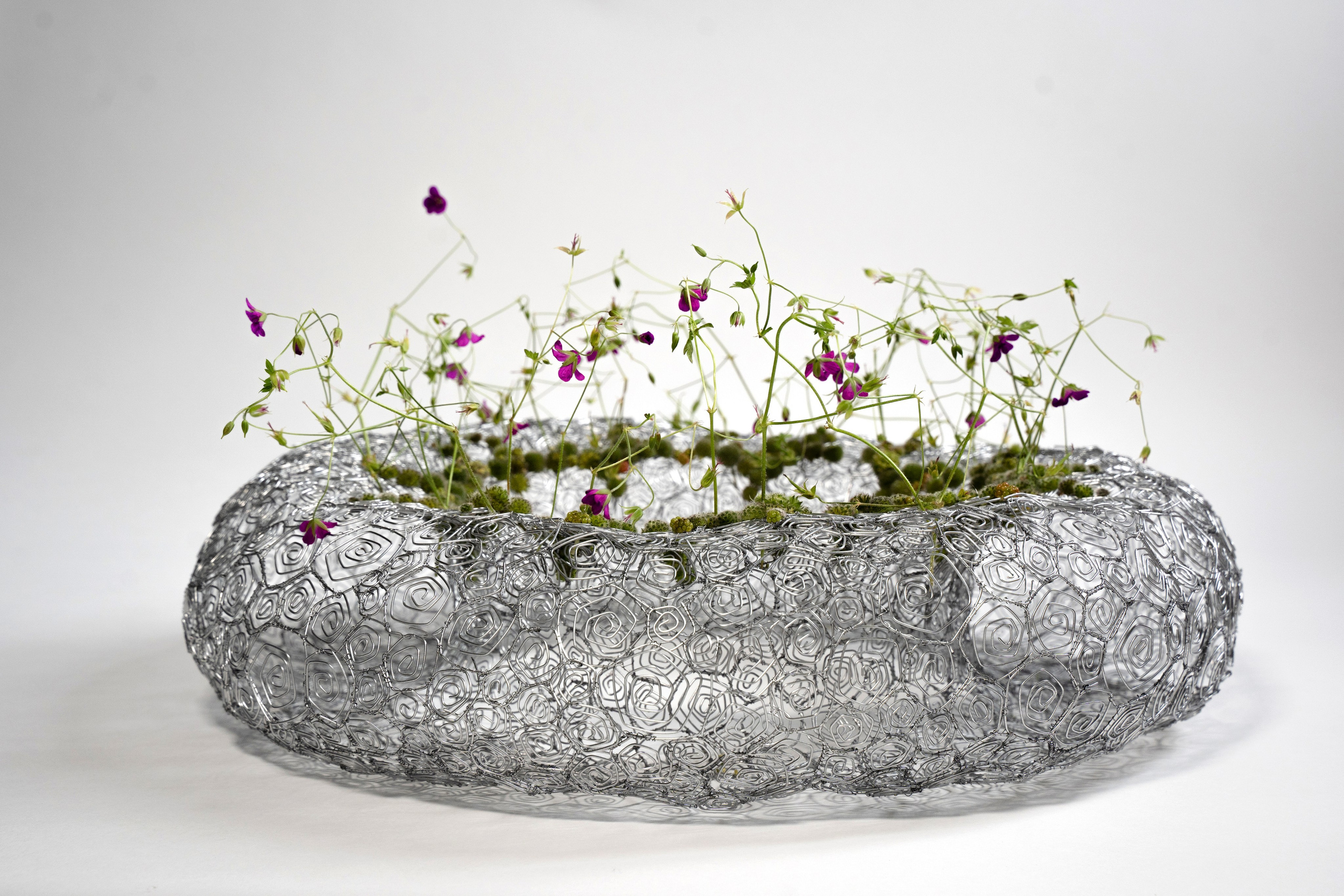 Tematska fotografija: keramika, floristika. Photographer Mariia Bortiakova