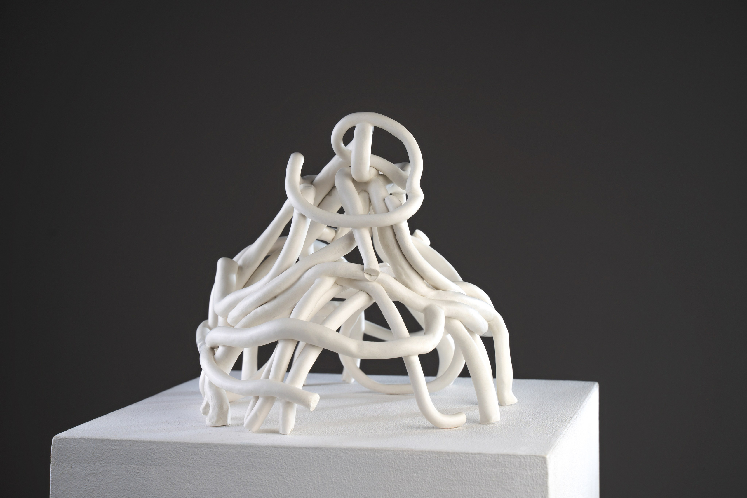 Tematska fotografija: keramika, floristika. Photographer Mariia Bortiakova