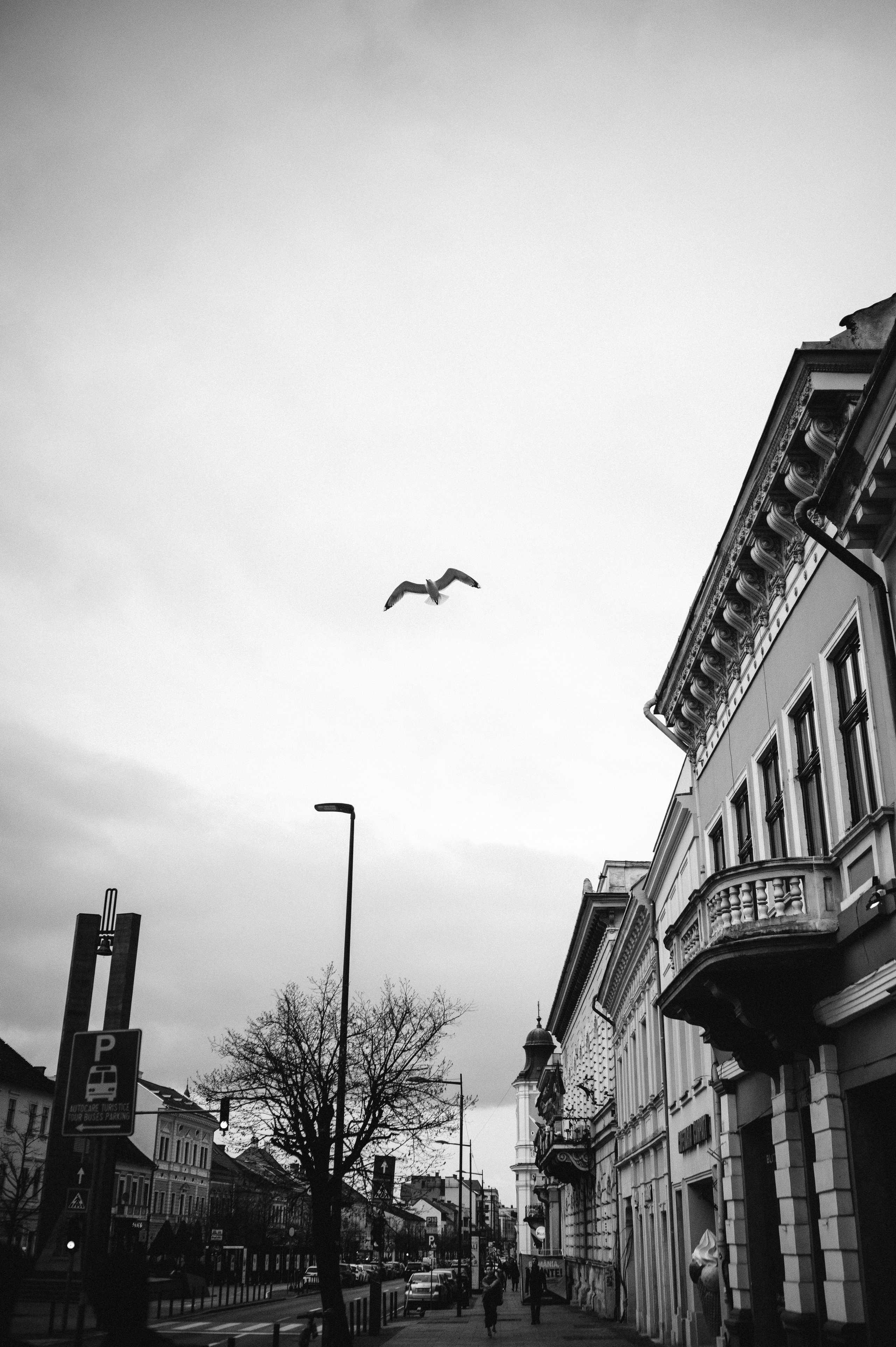 Dani si Ioana. Valentin Melen - fotograf de nunta 🤍