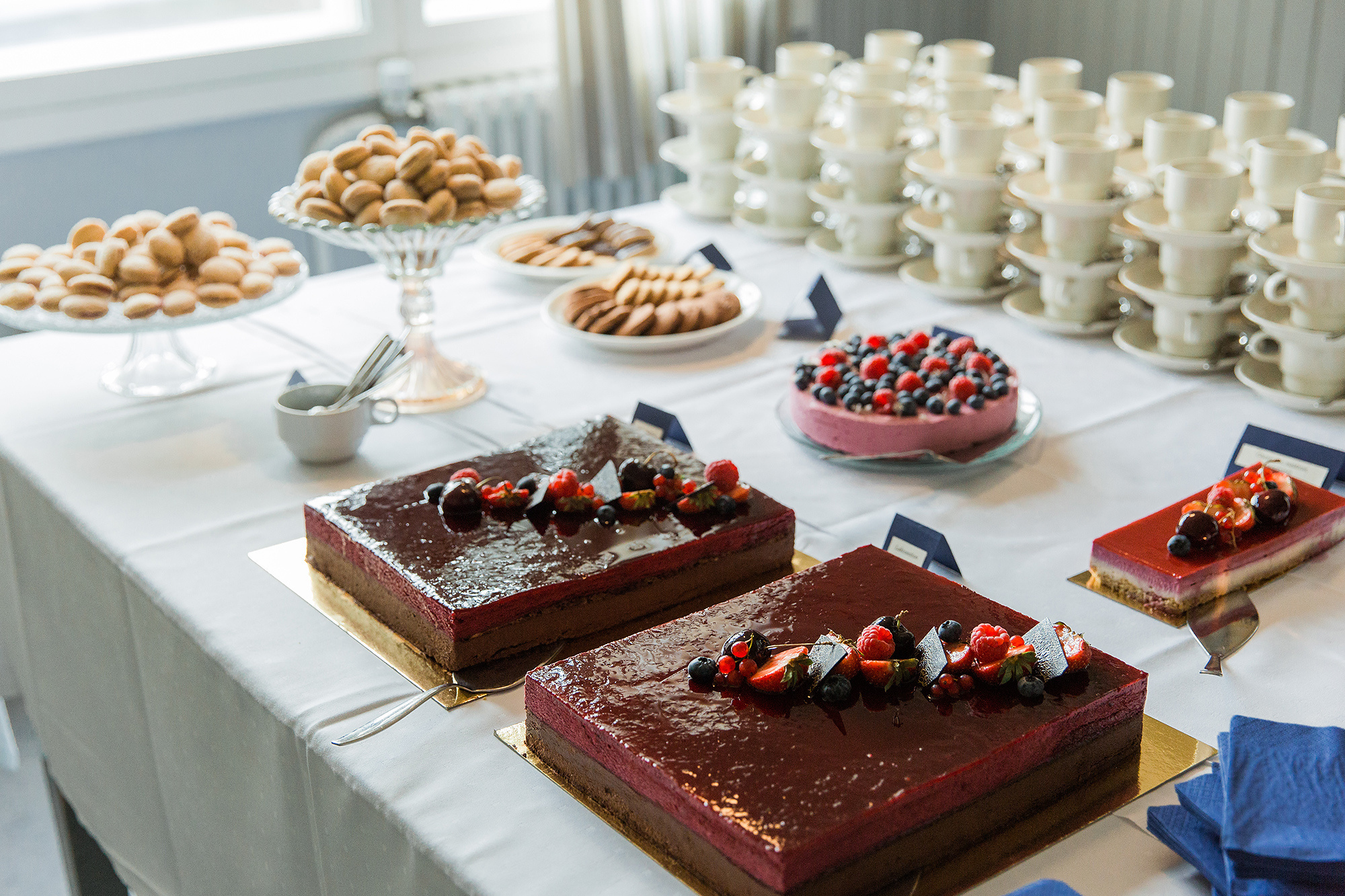 Riikka&Antti, kesähäät Tapanilassa