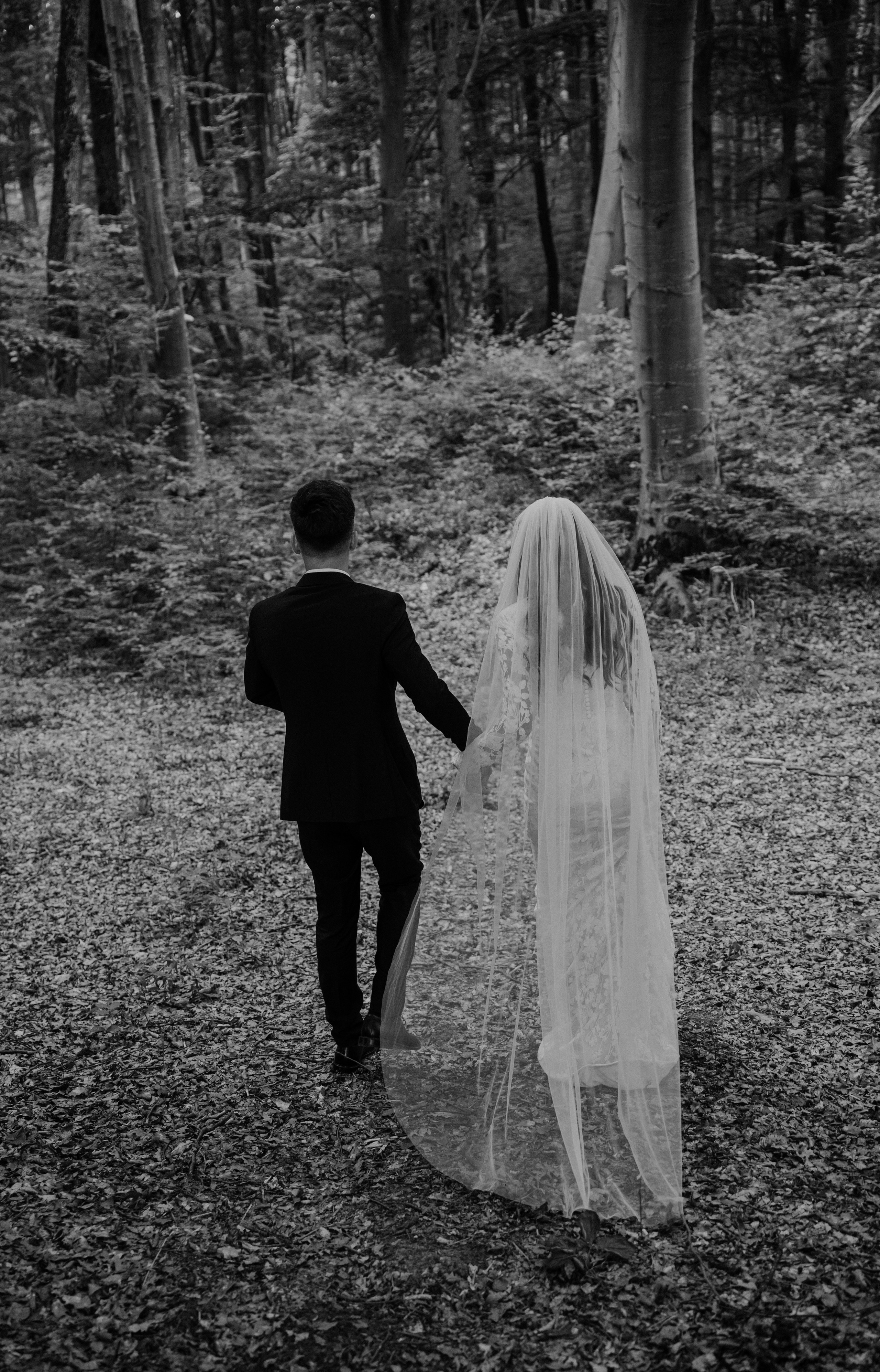 E & V. Fotograf Nunta Iasi - Hearts & Pictures