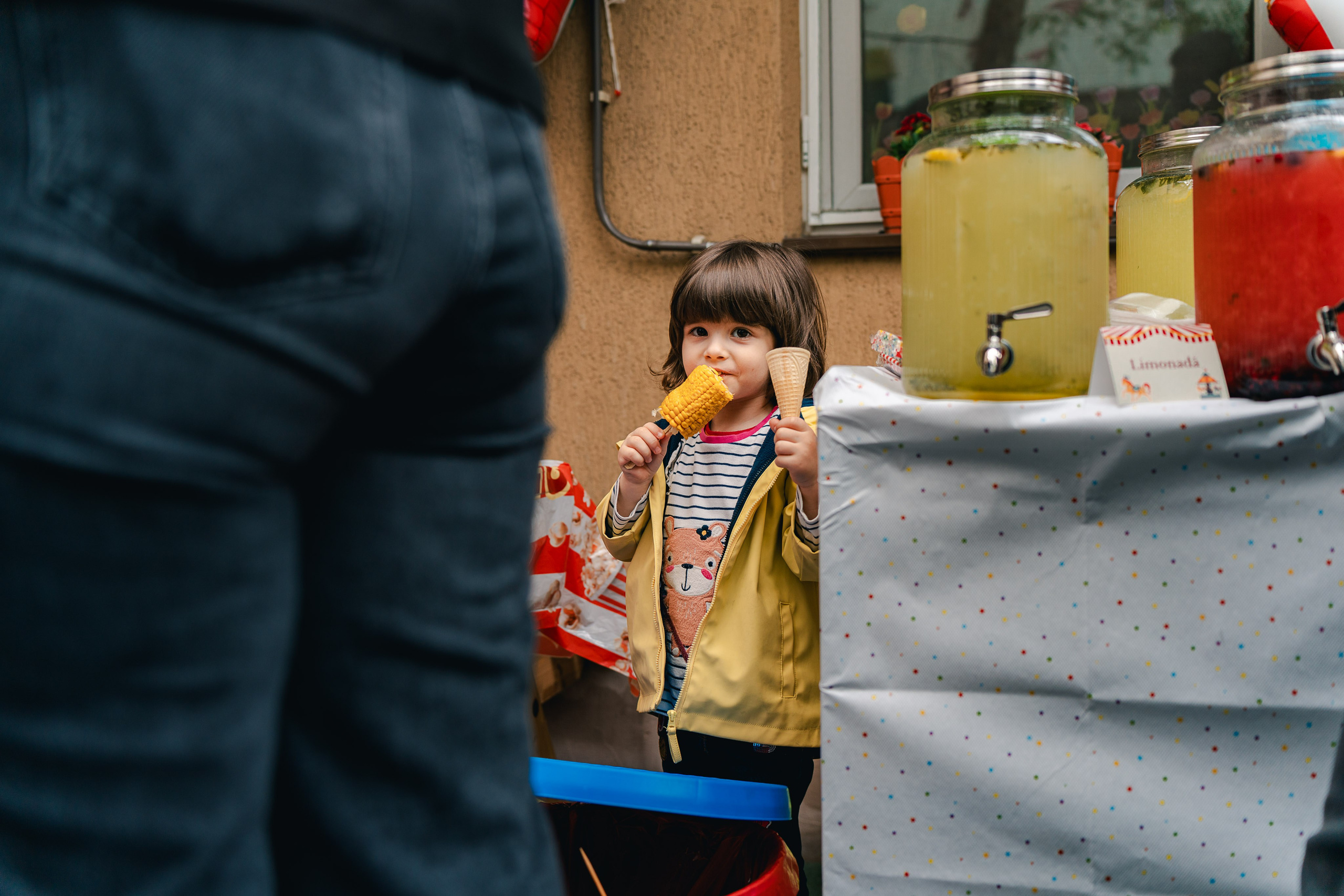 Miniterra Carusel. Liviu Andrei - Fotograf