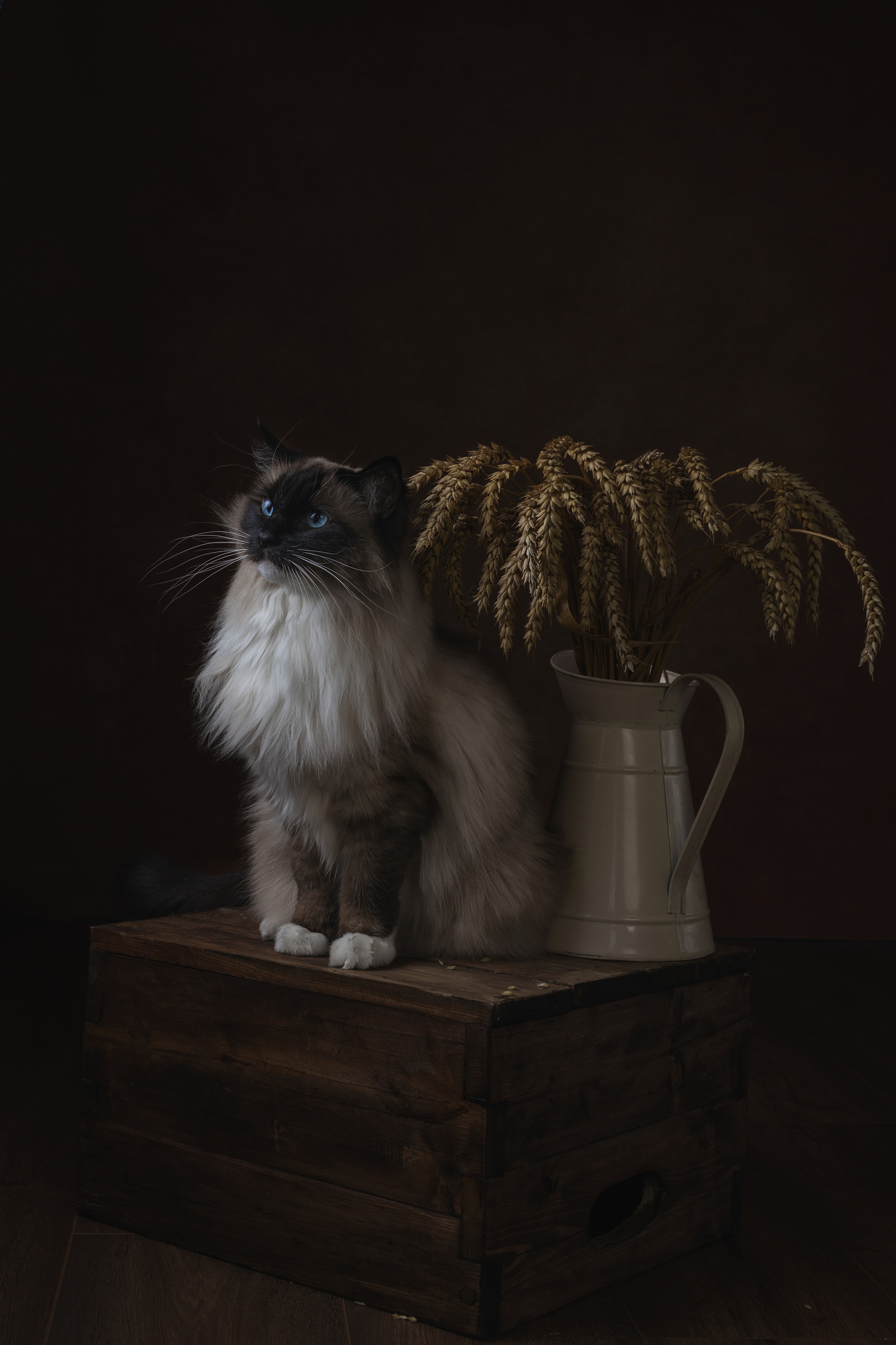 Fine Art. Главная