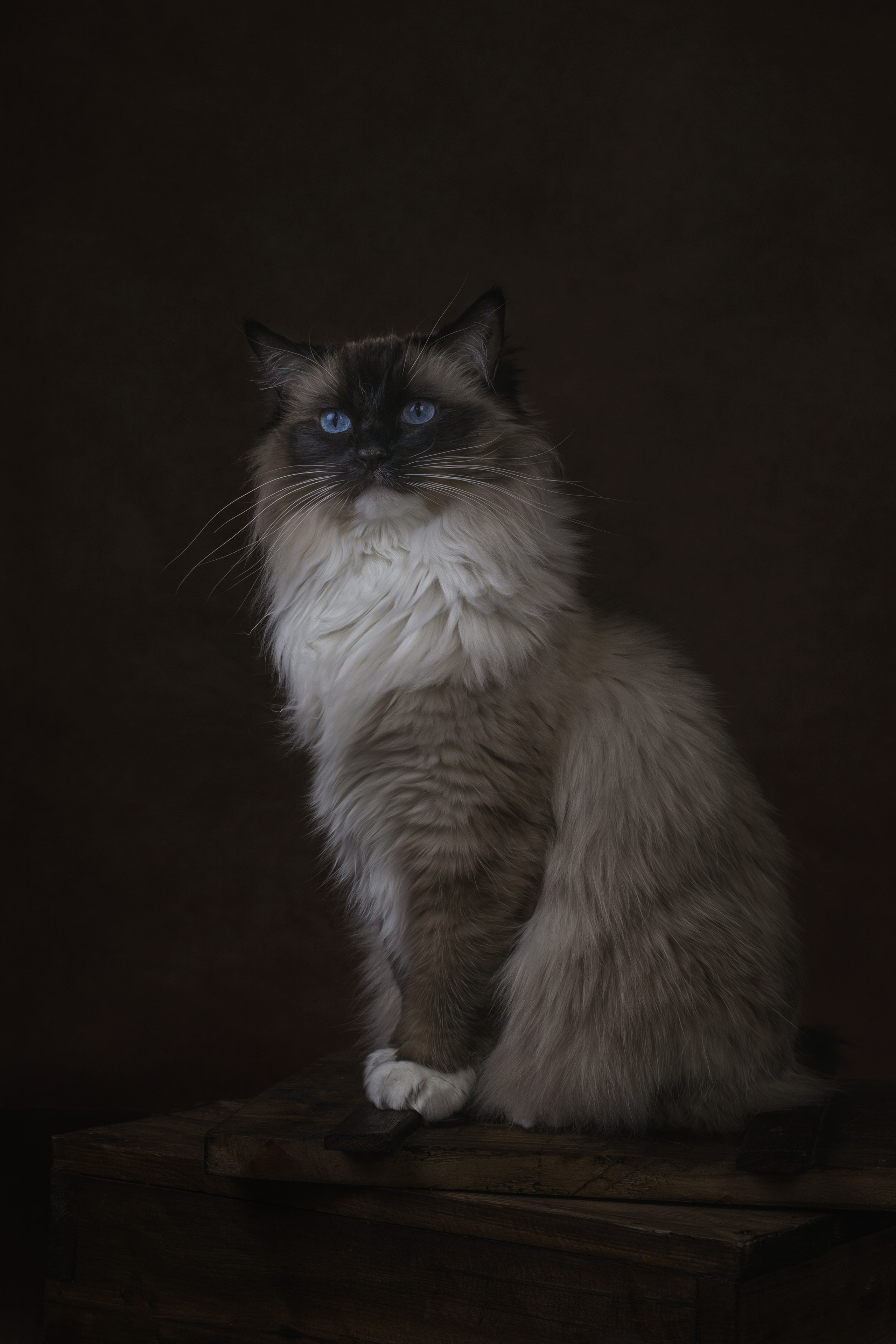 Fine Art. Главная