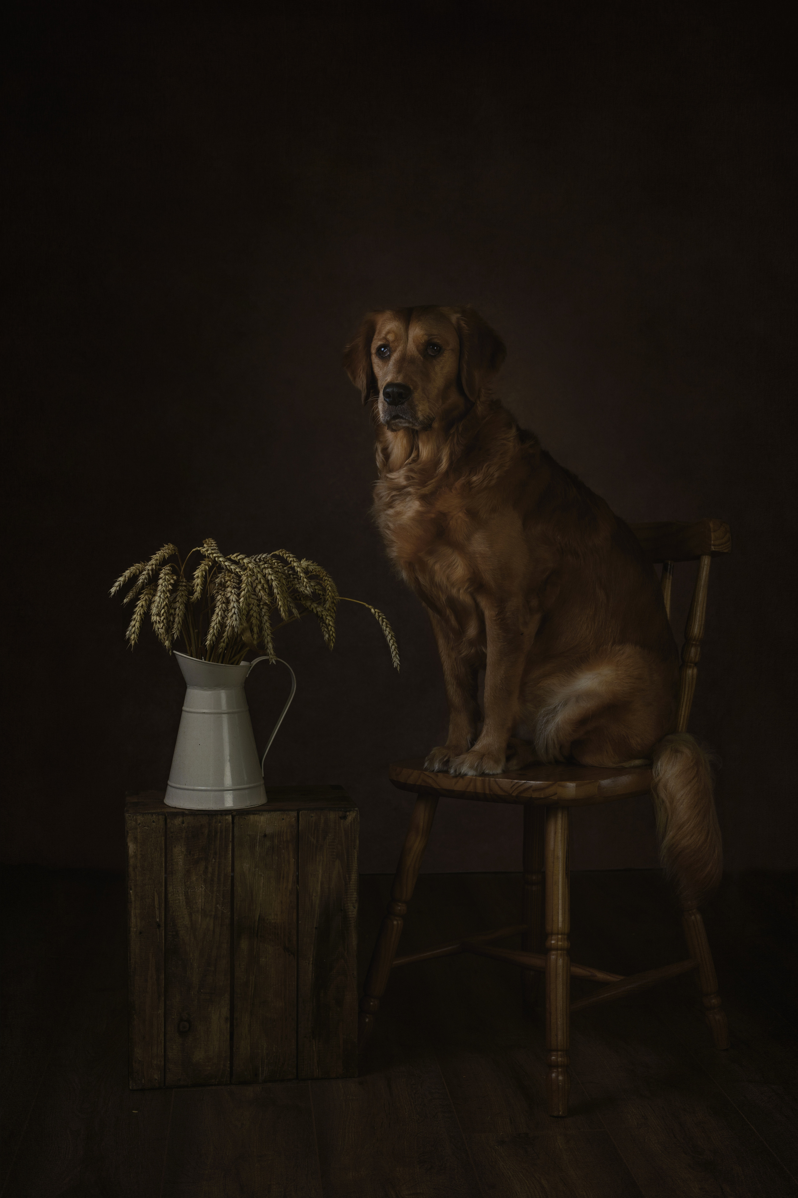 Fine Art. Главная