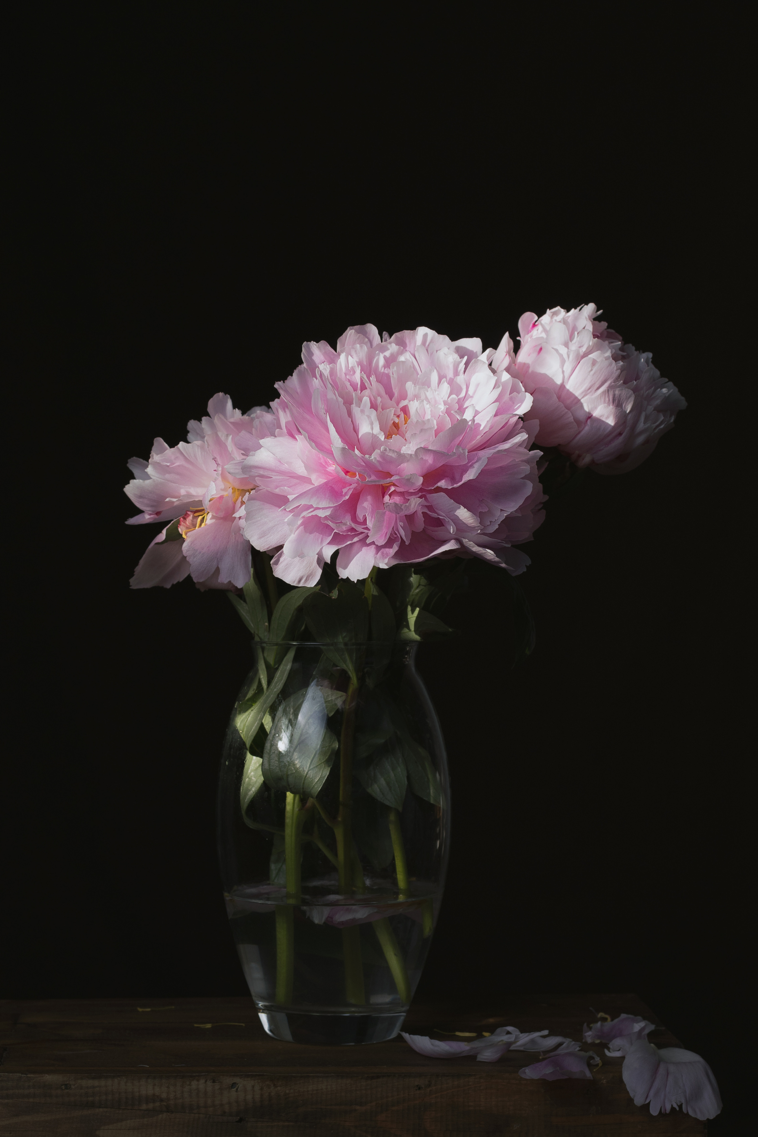 Семейный и детский фотограф в Лондоне (Кент) Наталья Биндере