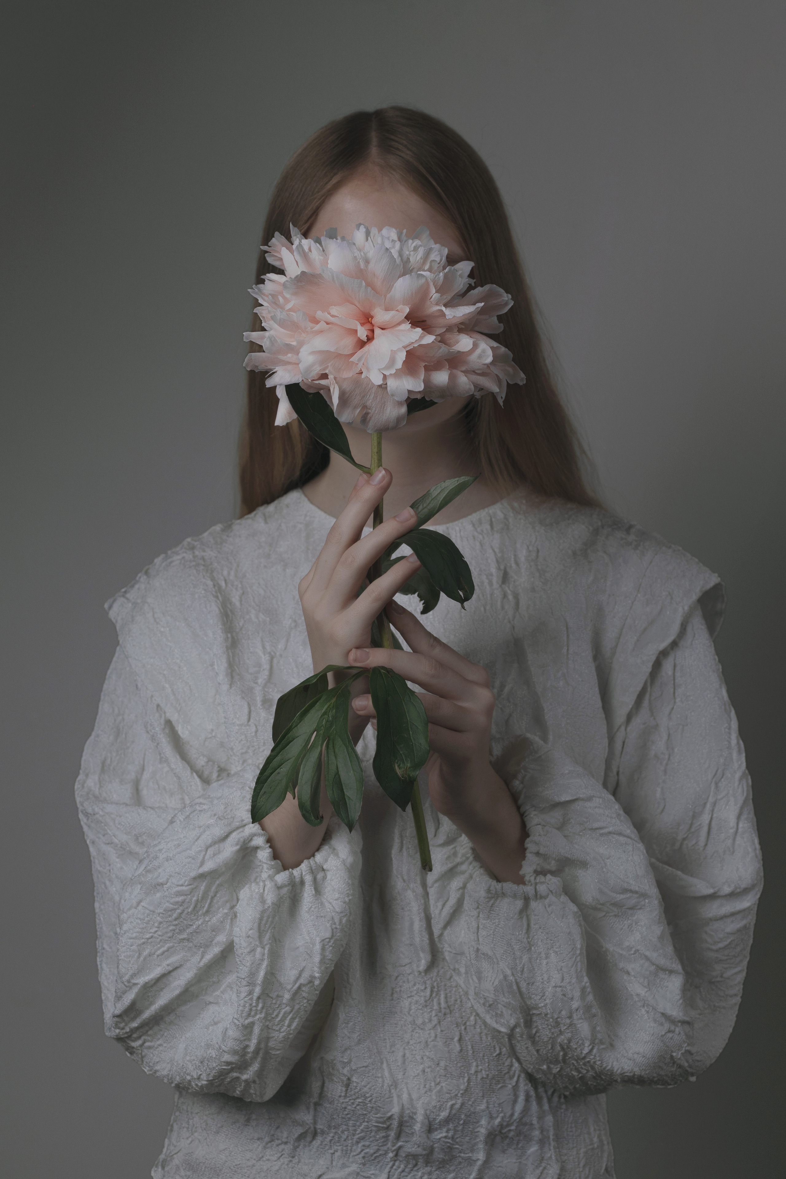 Fine Art. Главная