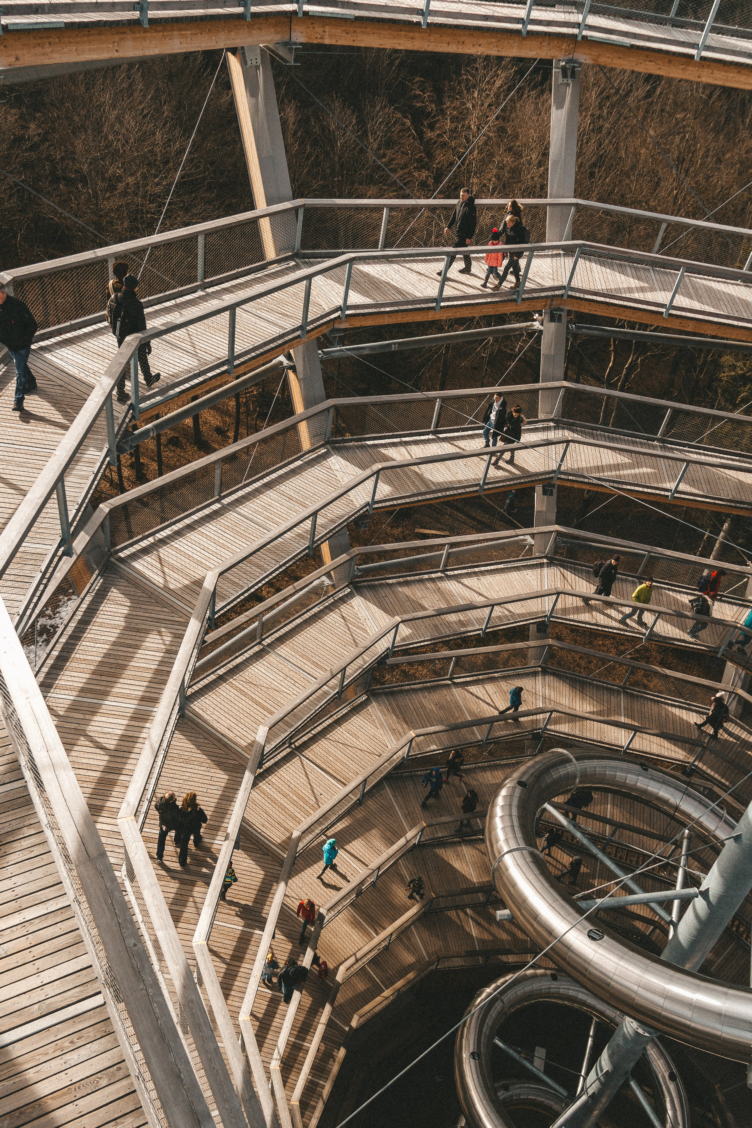 Над вершинами деревьев Baumwipfelpfad. Фотограф в Германии — Мария Чистякова