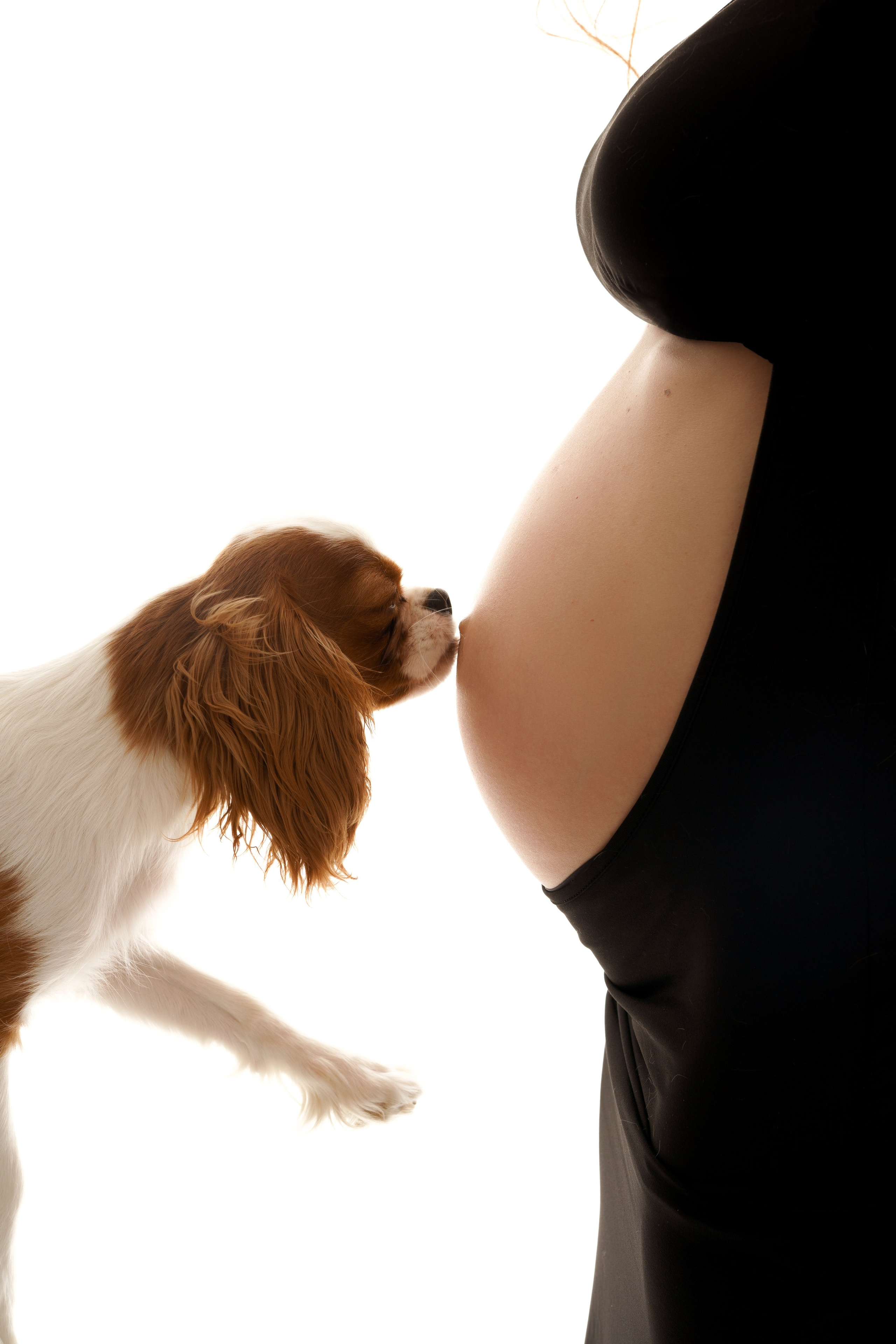 Naturalna, wyjątkowa, delikatna sesja ciążowa w Łodzi. Fotograf Łódź - sesja ciążowa, noworodkowa, dziecięca. Studio w Łodzi