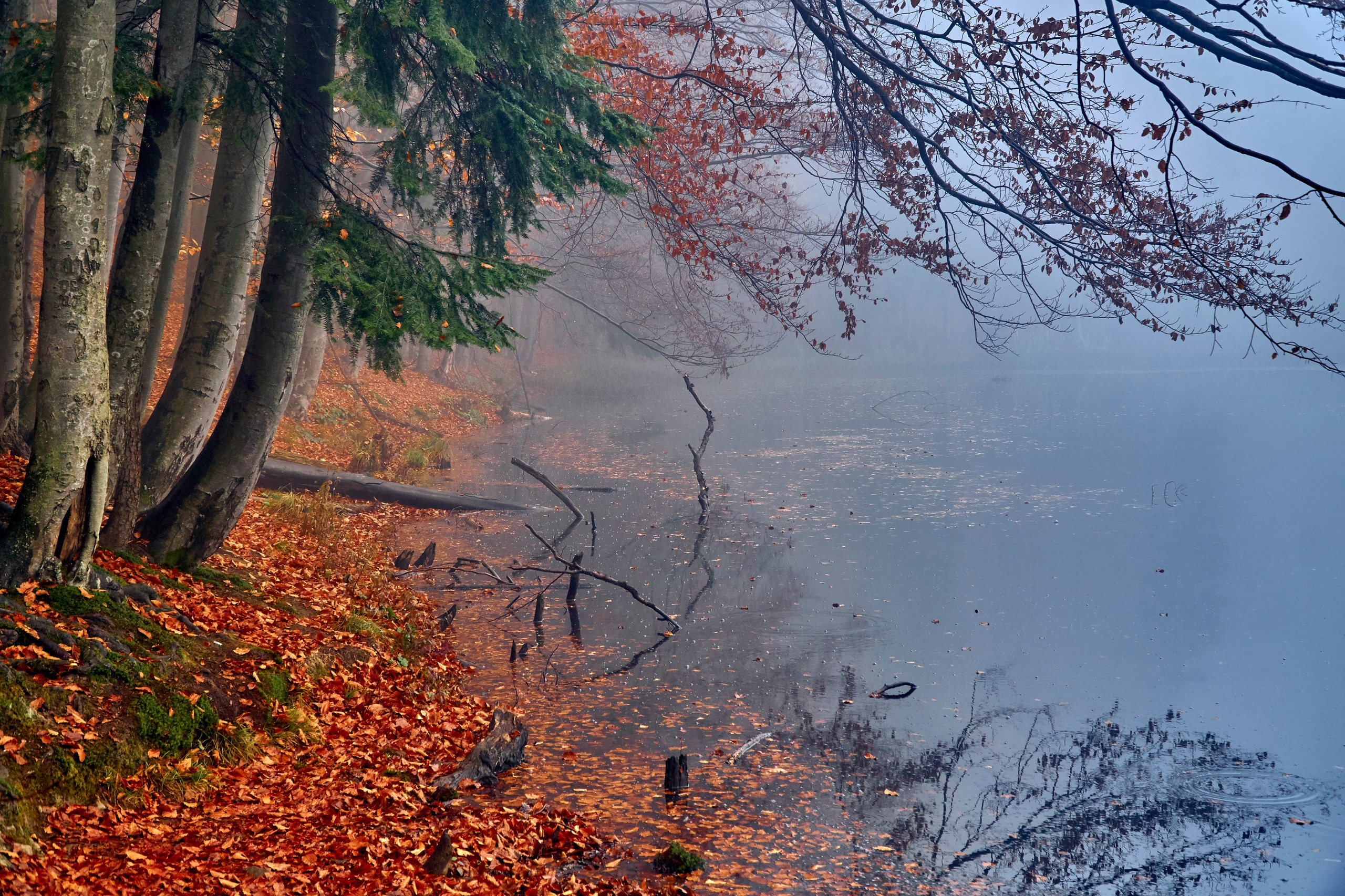 Bieszczady - tu zatrzymuje się czas. Andriej Szypilow - Fotografia & Wideografia