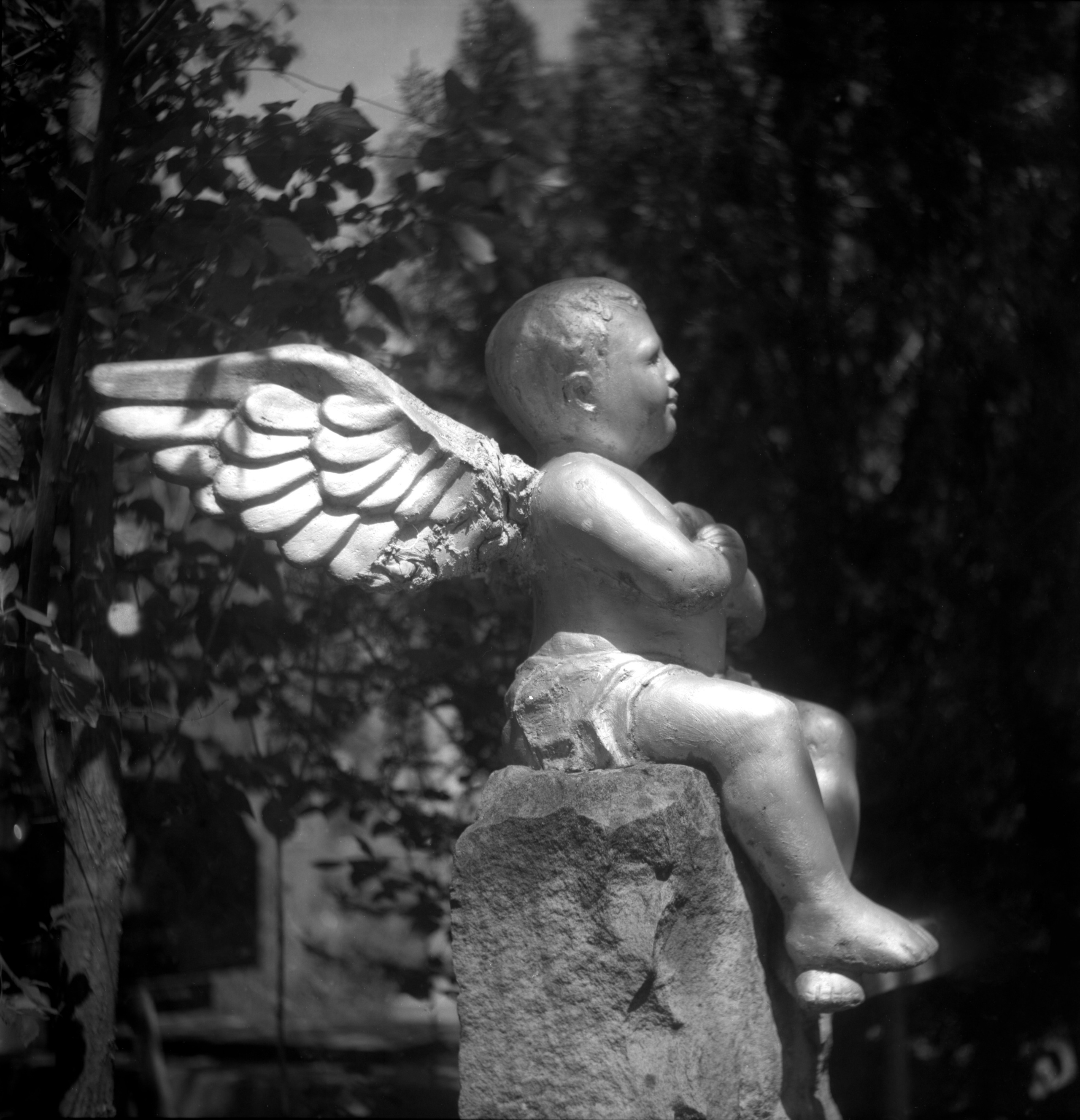 When it is day for angels in heaven, it is night for people on earth. Natalia Parfenova visual artist film photographer