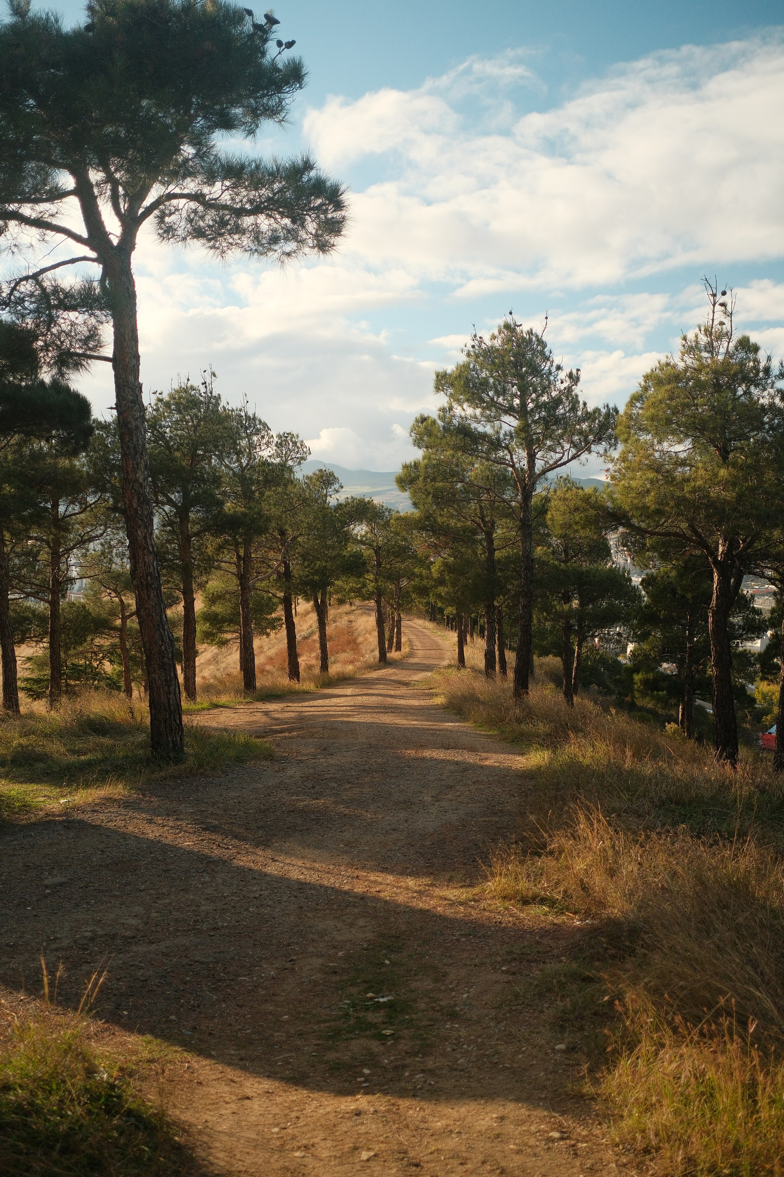 Georgia. Nikita Pavlov, Photographer — Vienna, Austria