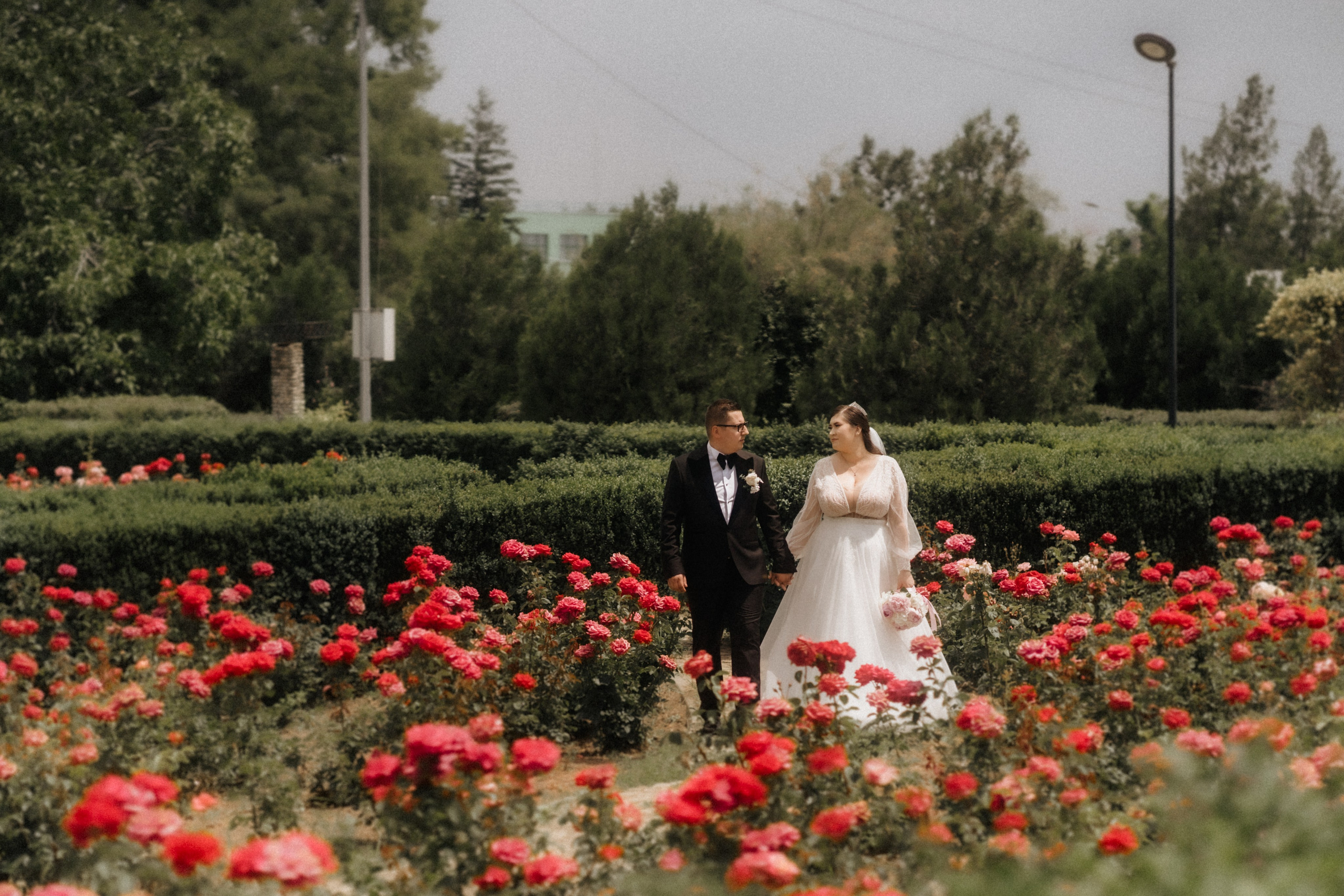 Andreea - Dan | Buzau