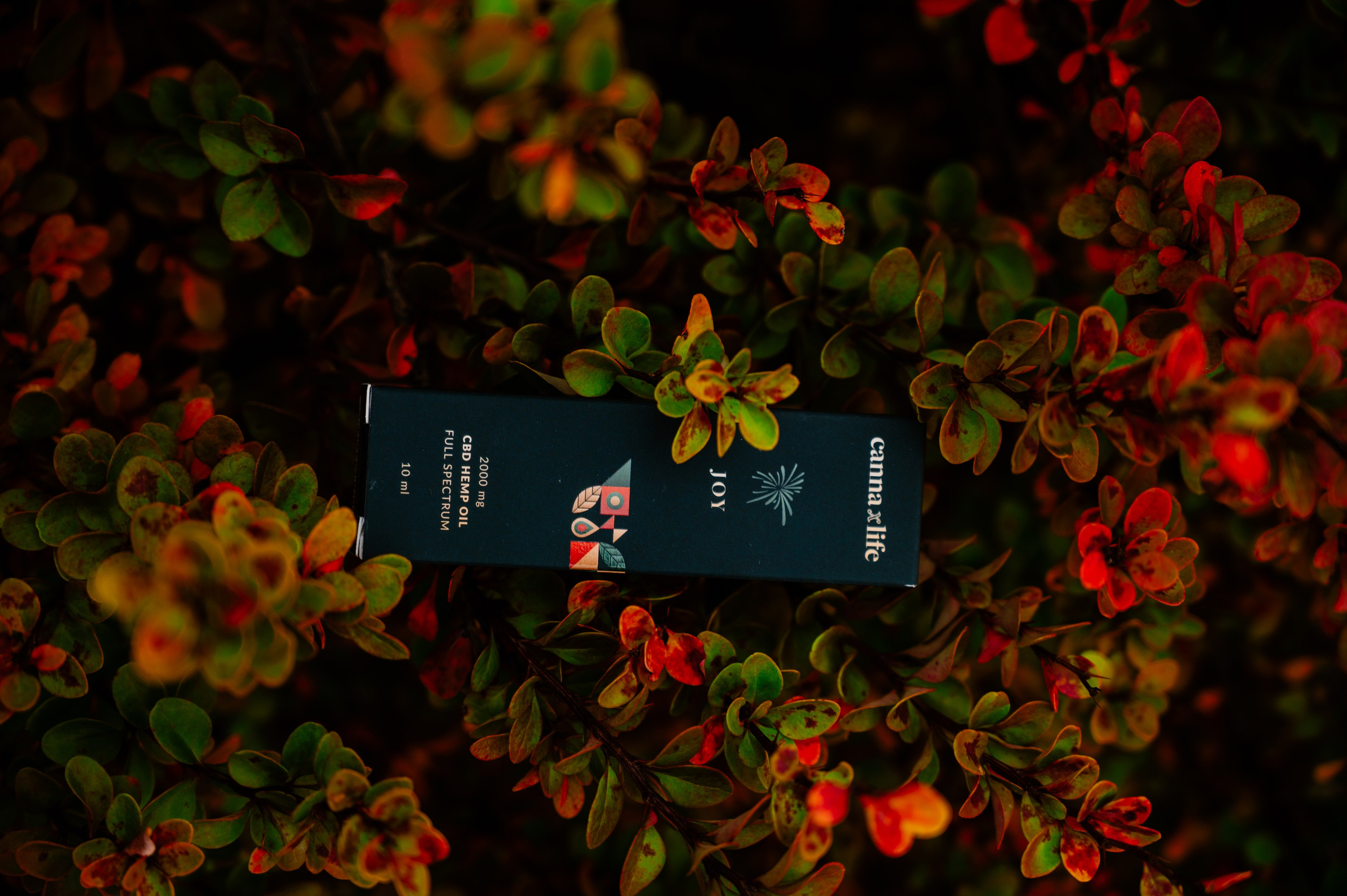 CannaXlife CBD products. ANNA-MARIA PHOTO CONTENT CREATOR — фотограф, естет, художник і візуальний експерт Instagram у Празі