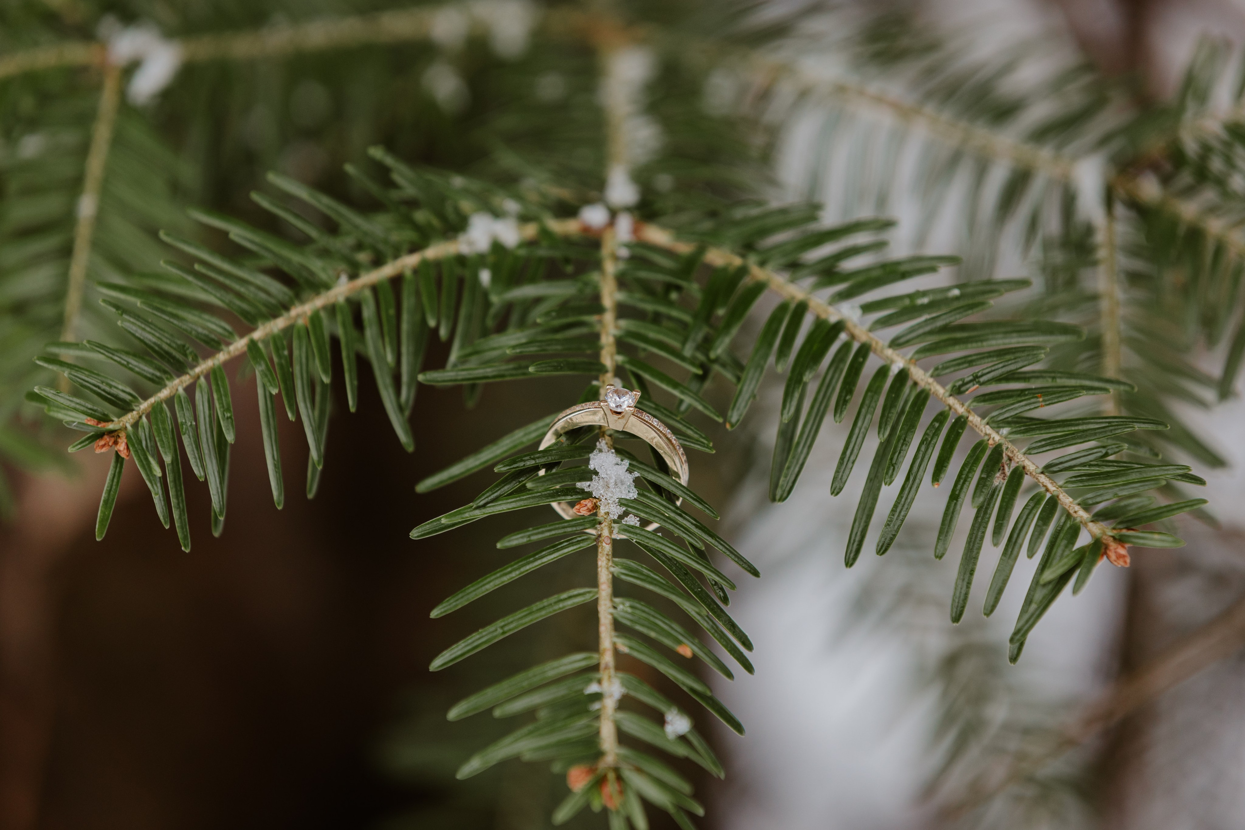 Contact. Fotograf prin #Piatraneamt-Alessander Enache